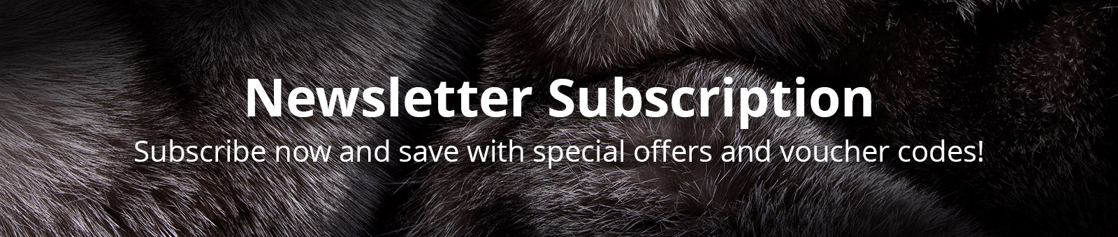 Subscribe to our Newsletter
