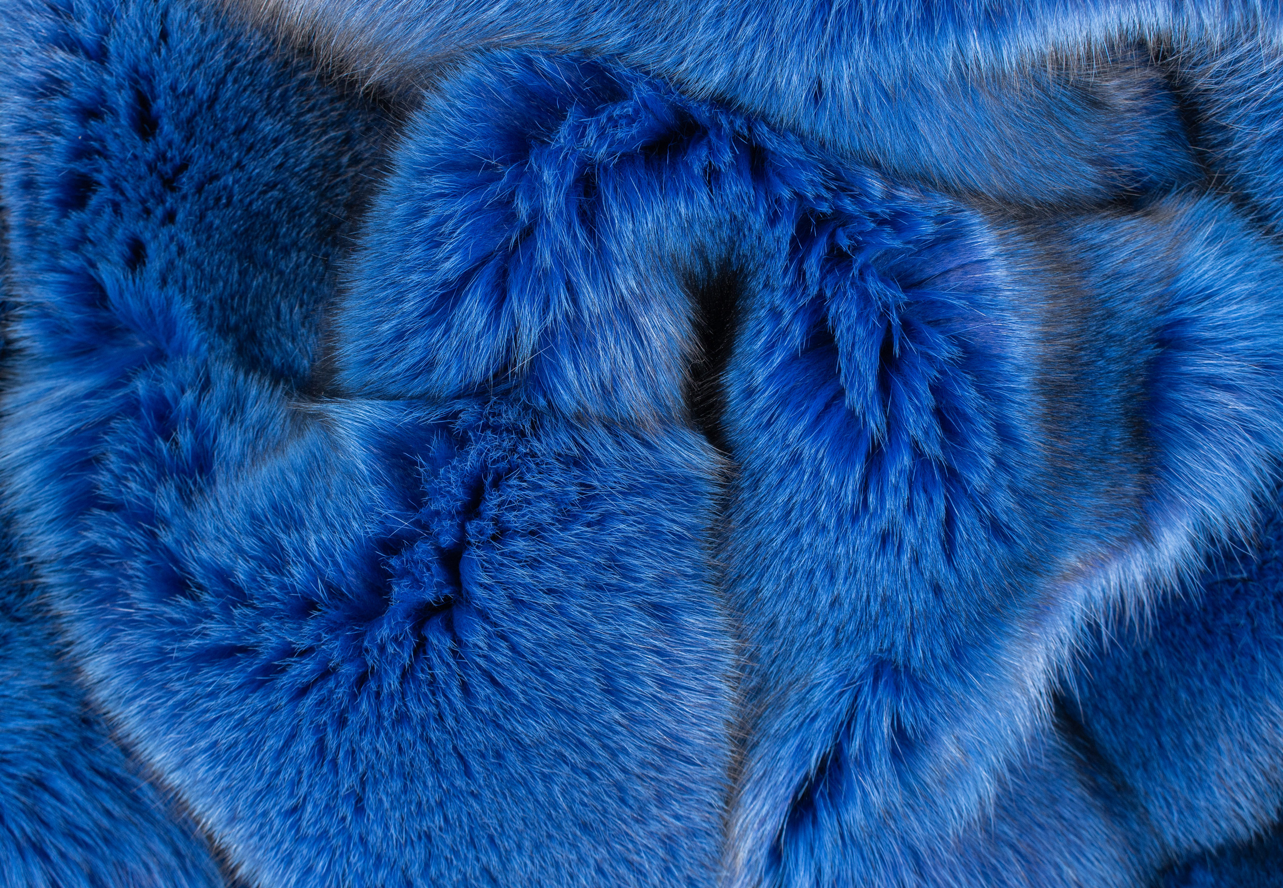 Blue Fox Fur Blanket in Blue