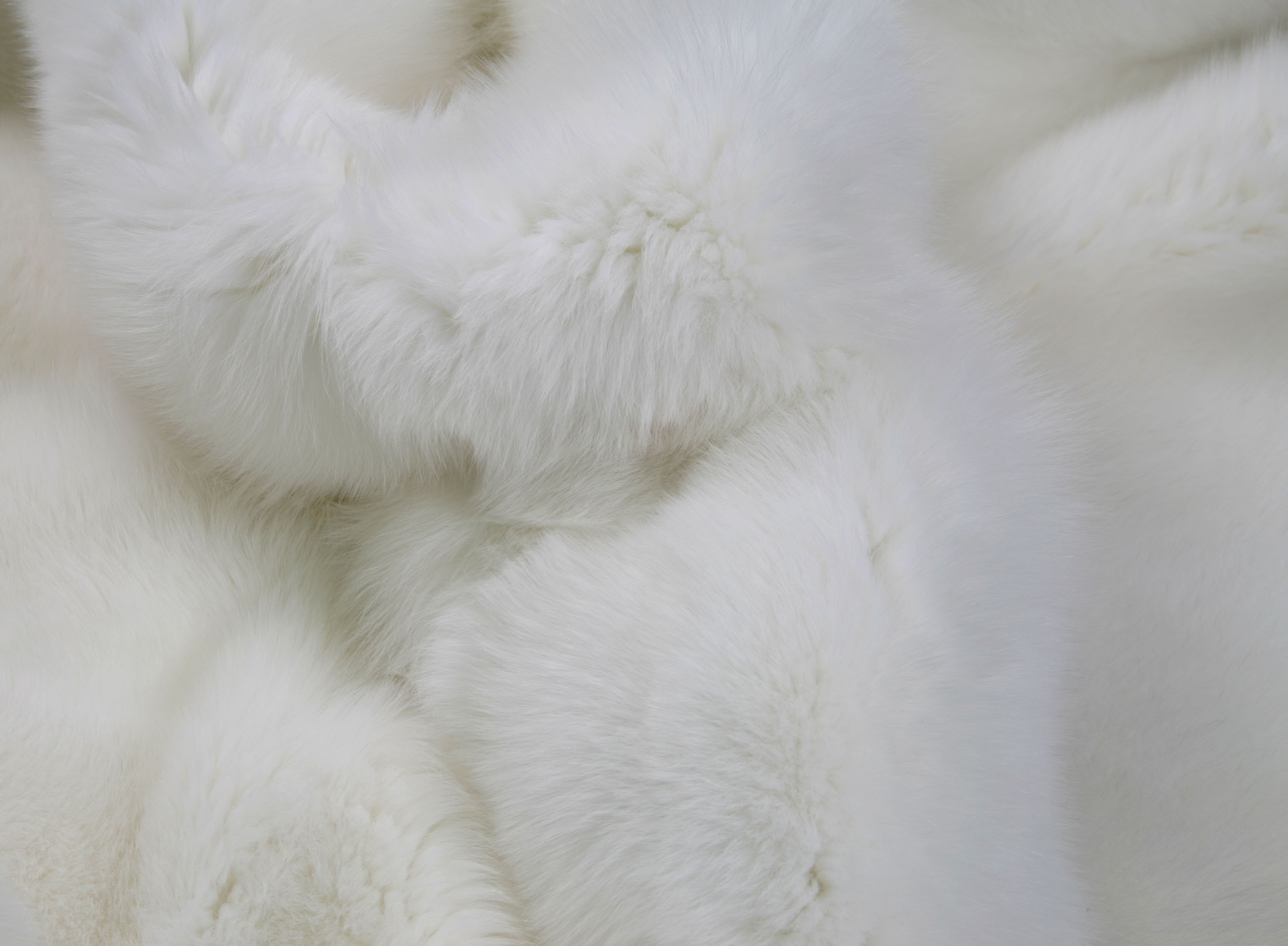 SAGA Royal - Fur Rug from Shadowfox skins