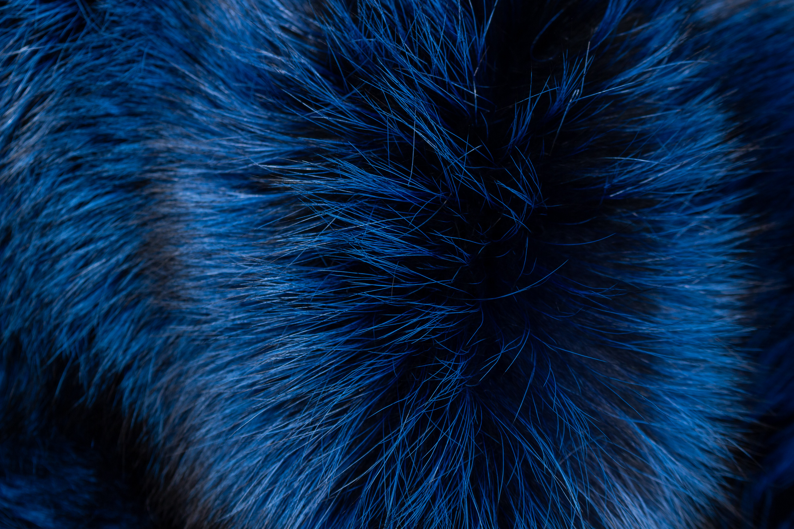 Blue Silver Fox Fur Throw From Scandinavian Foxes
