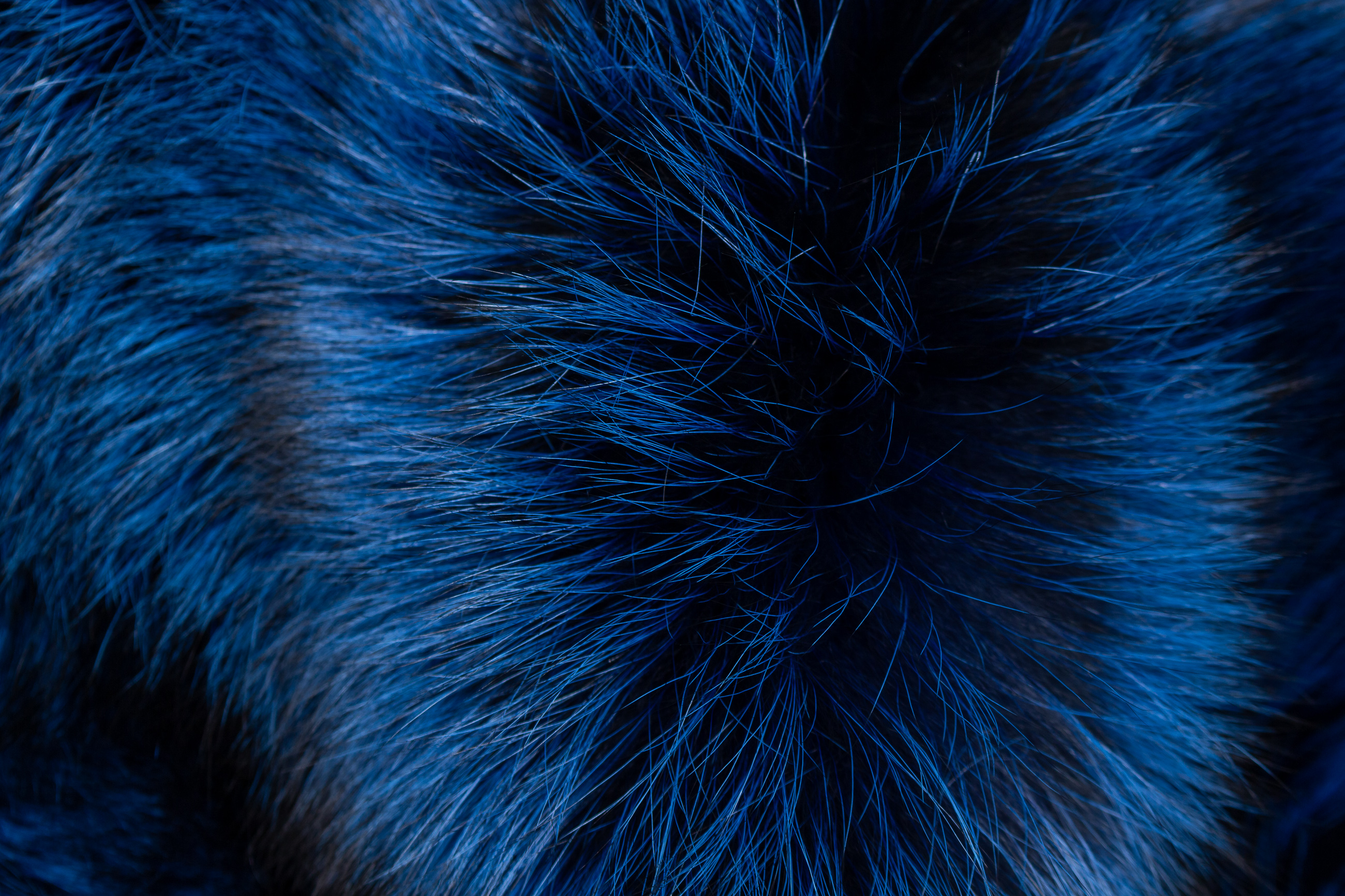 5-3770-Blaue-Silberfuchs-Pelzdecke-Skandinavischen-F-chsen Blue Silver Fox Fur Throw From Scandinavian Foxes