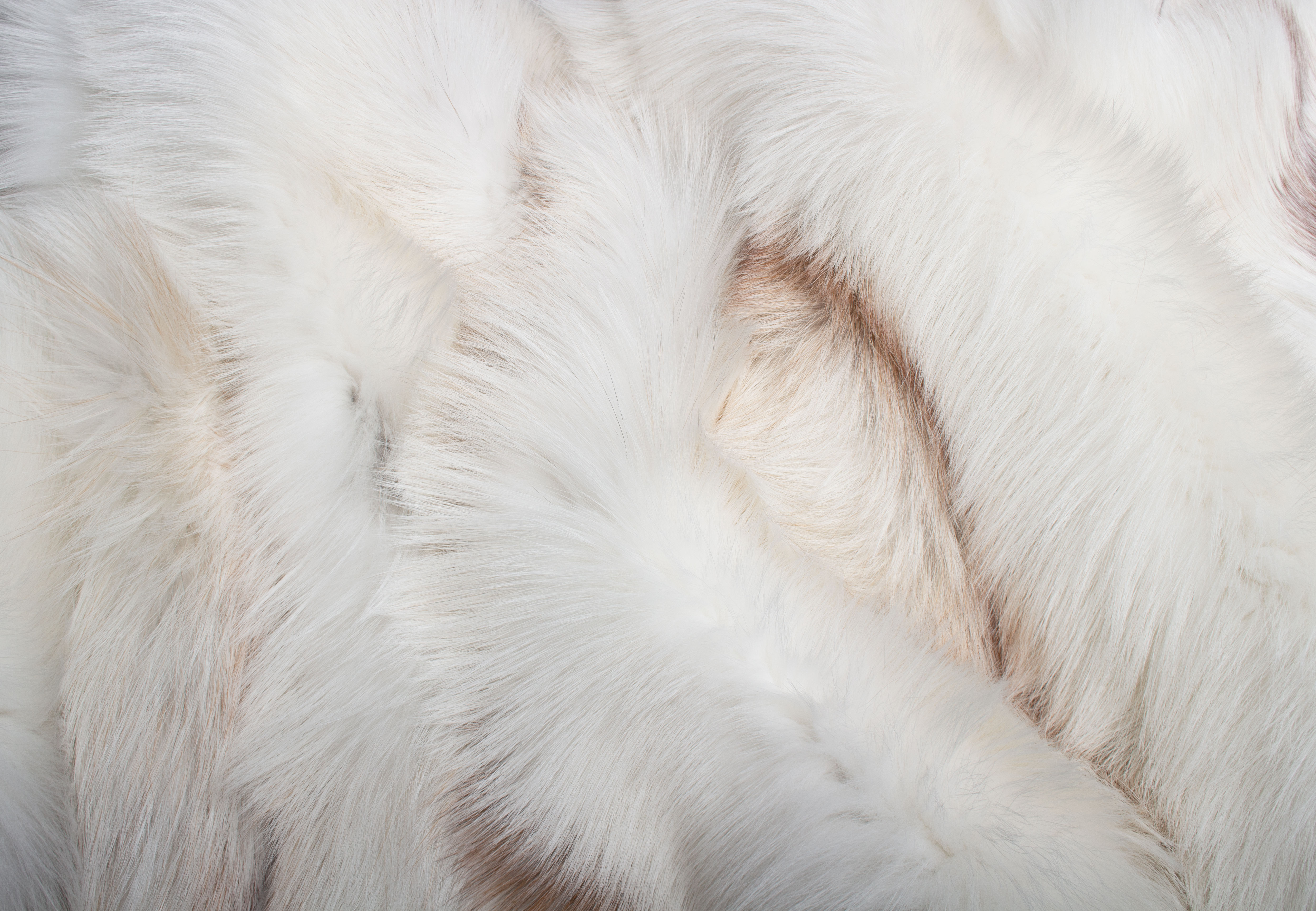 Sun Glo Fox Fur Throw