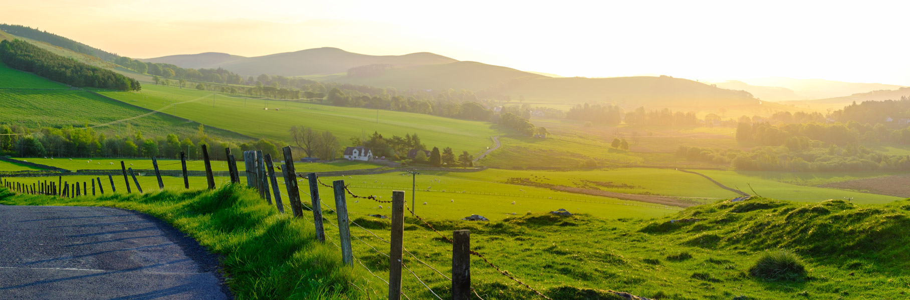 naturelle-lammfell-produkte-header naturelle-lammfell-produkte-header