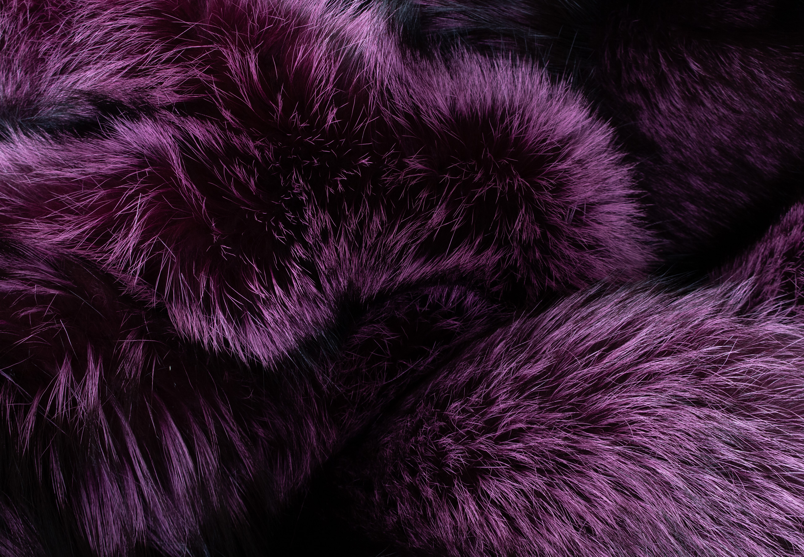 Cuddly Fur Blanket made with Silver Foxes in Purple