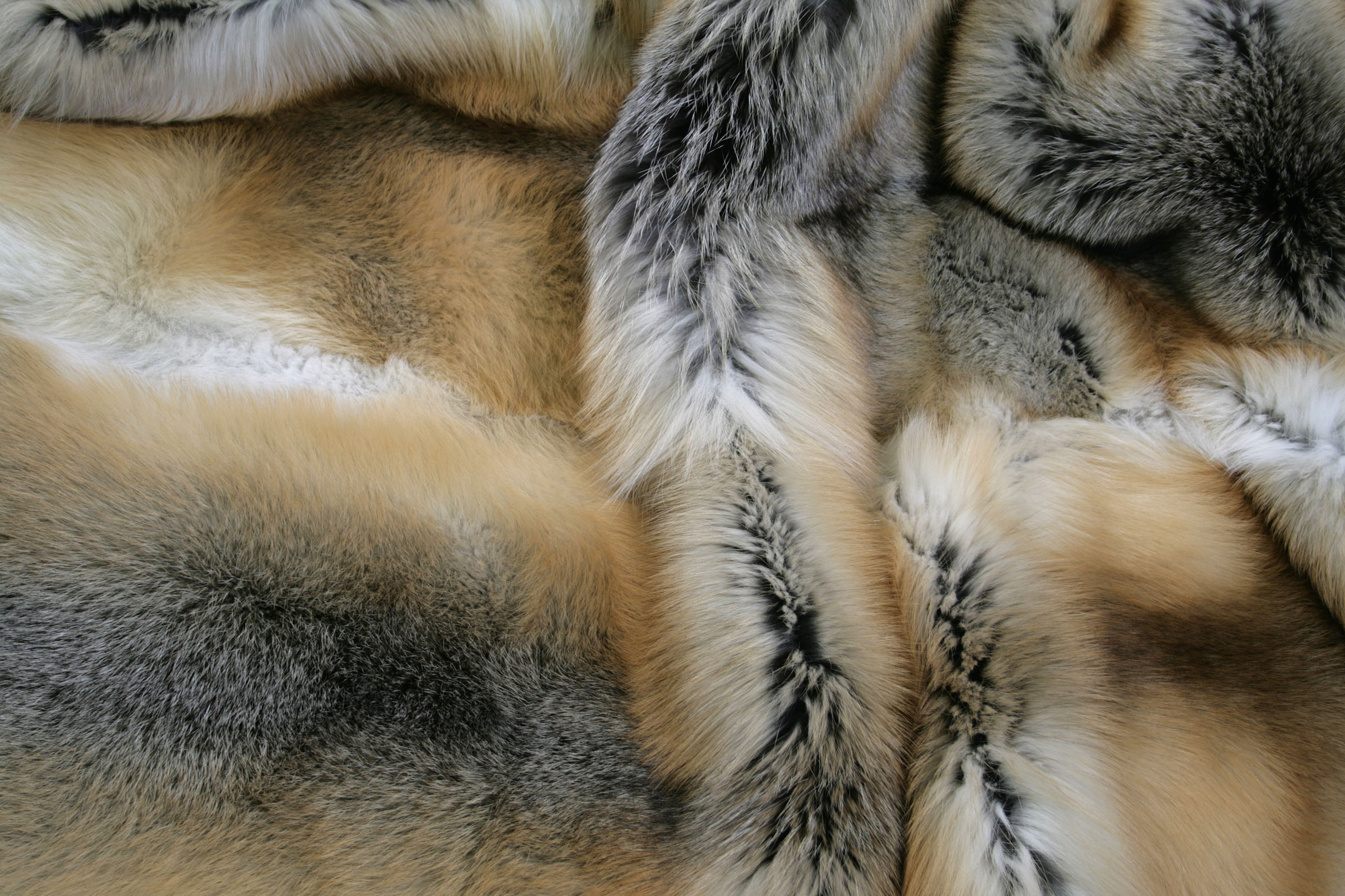 Fur Carpet from SAGA Golden Island Foxes