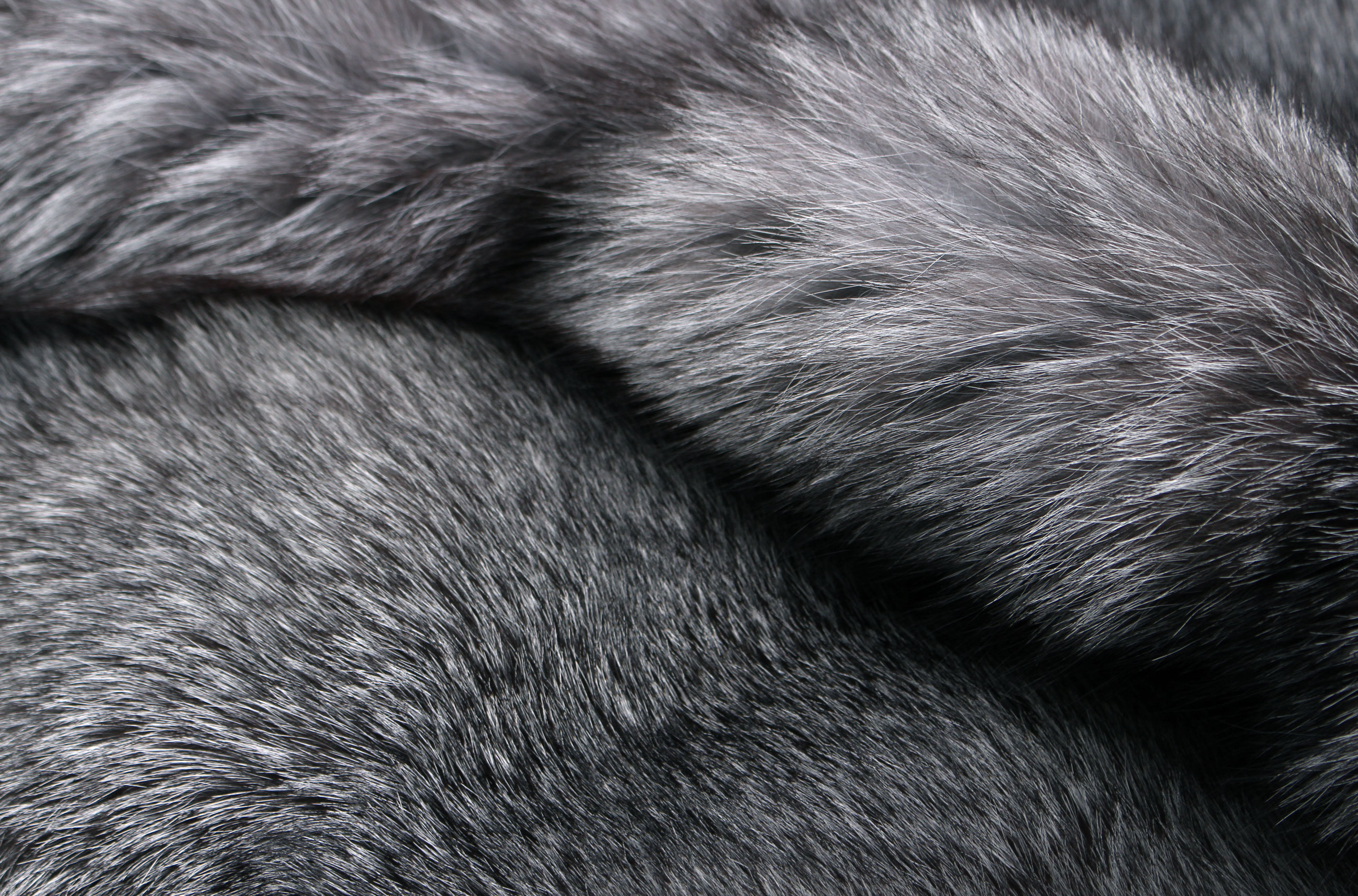 SAGA Blue Frost Fox Fur Carpet - natural color