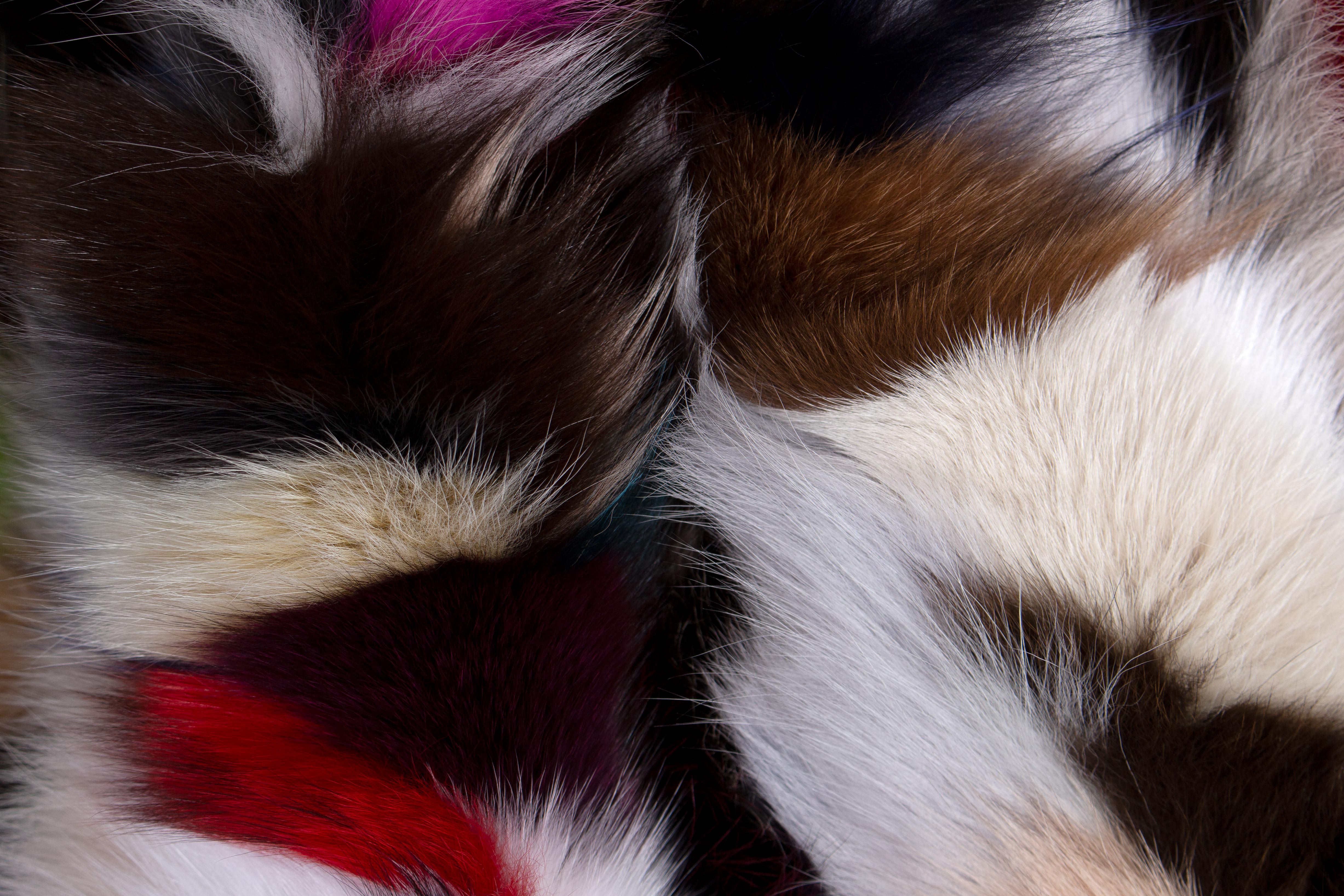 Multicolor Fur Blanket from Blue Fox Pieces