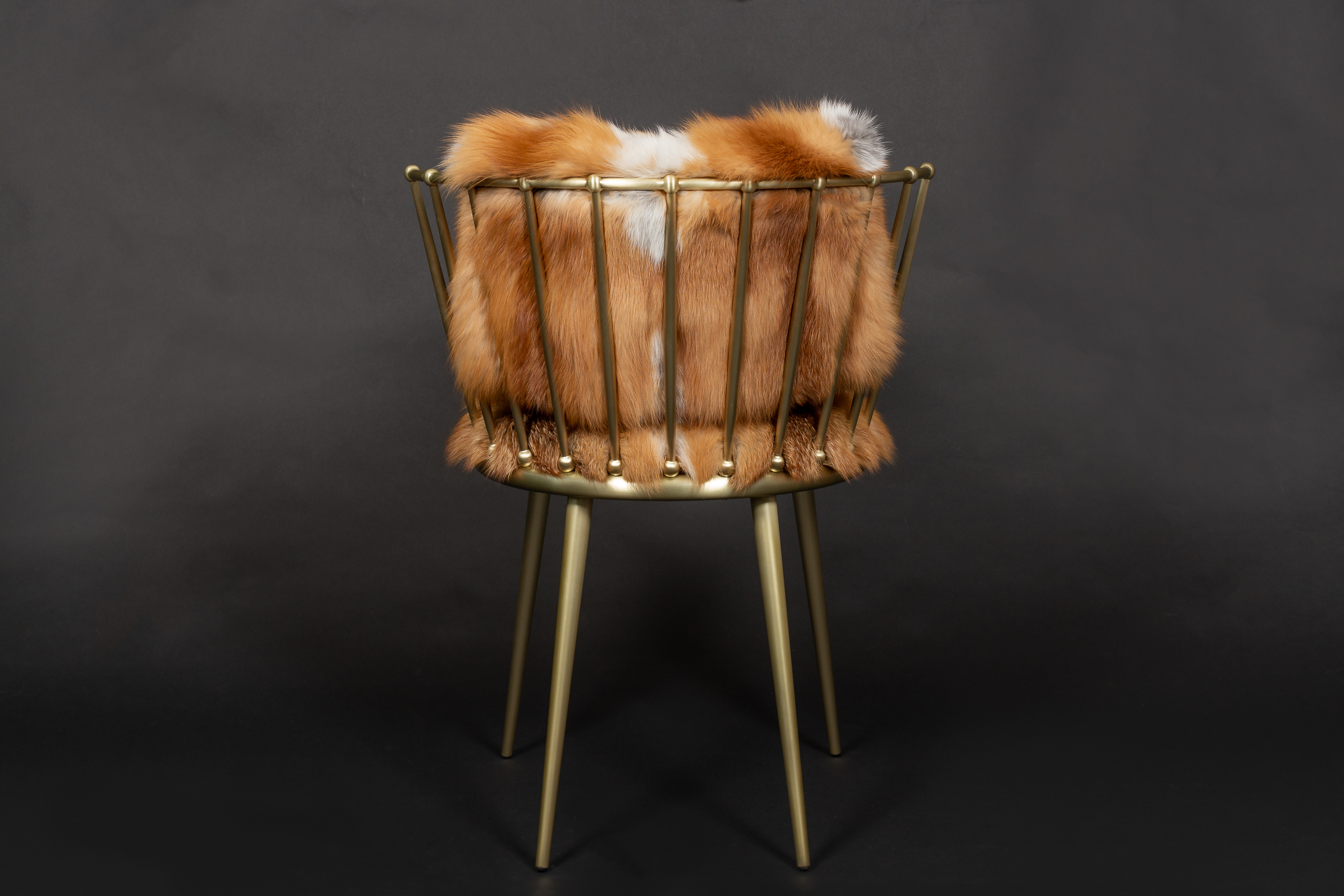 Red Fox Chair from European Foxes