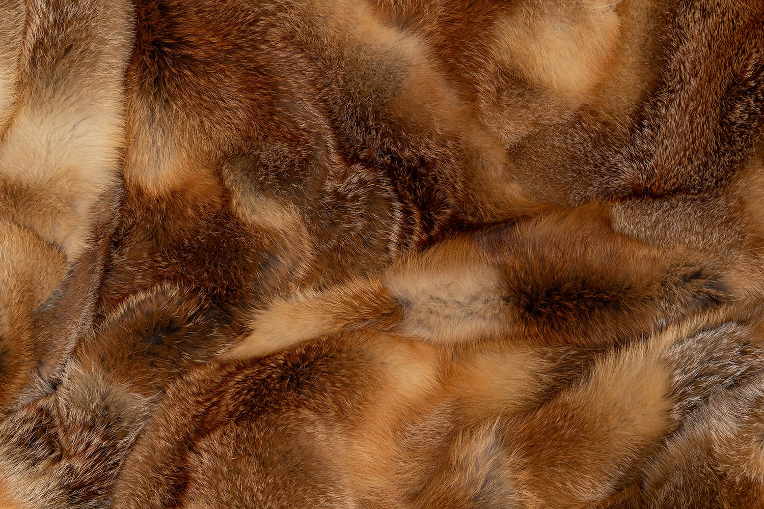 European Red Fox Fur Blanket Wild Fur