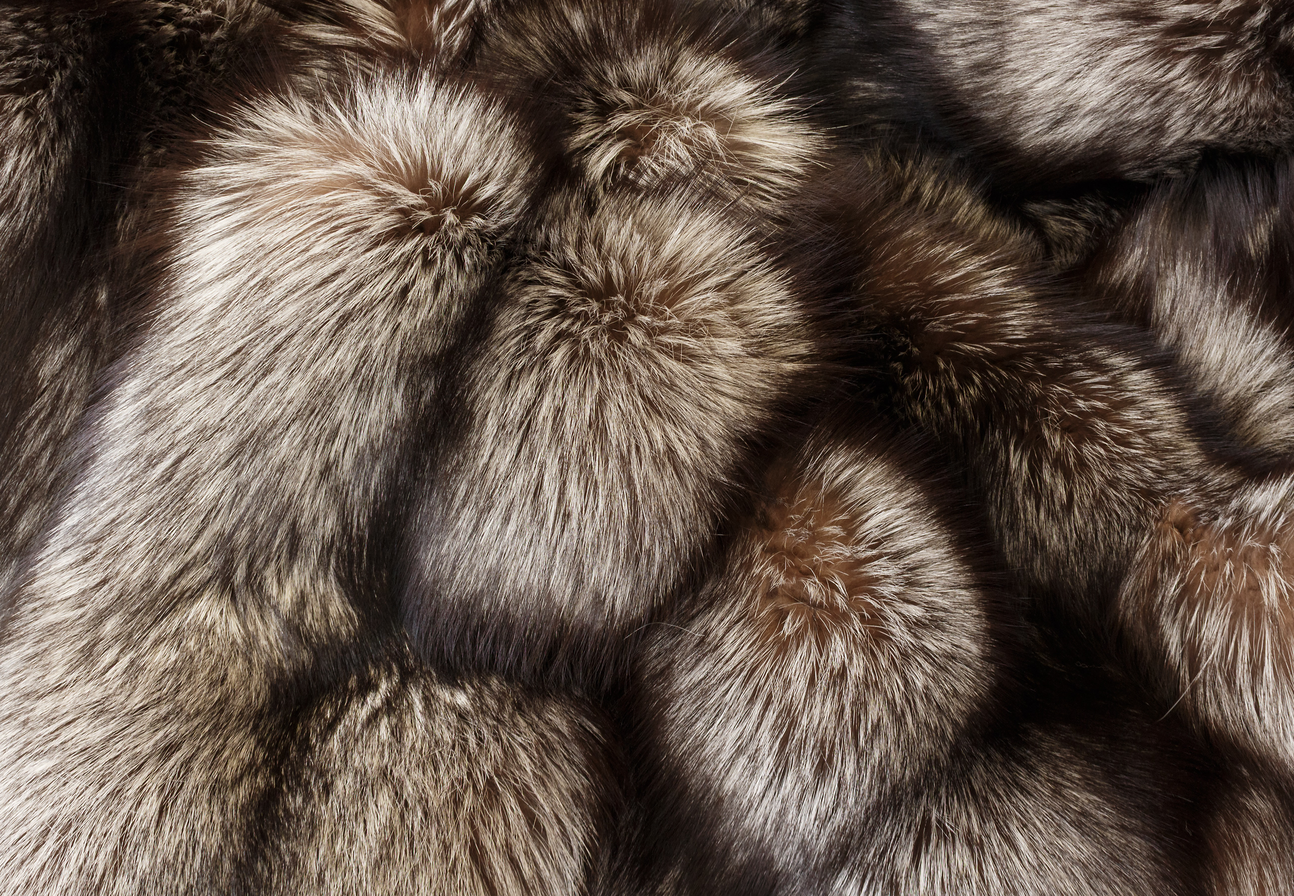 Elegant Silver Fox Fur Blanket in Mocha Grey