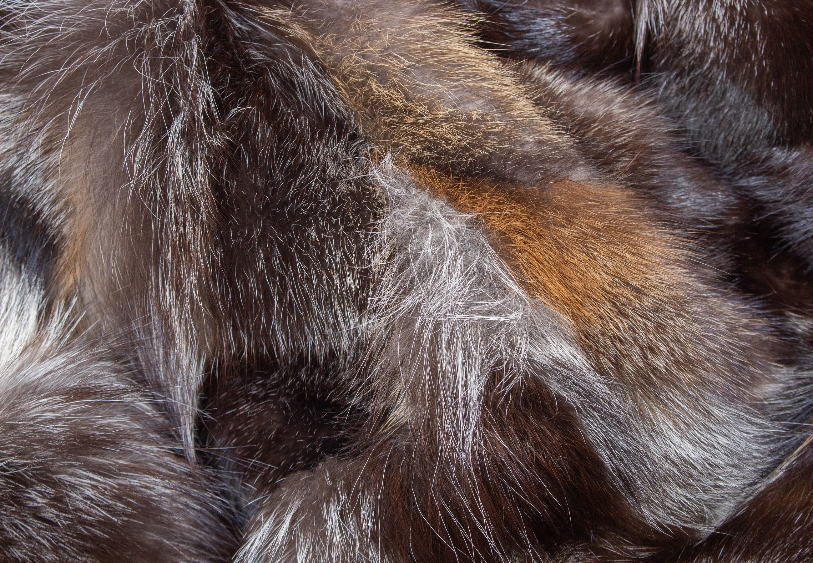 Cozy Cross Fox Patch Fur Blanket