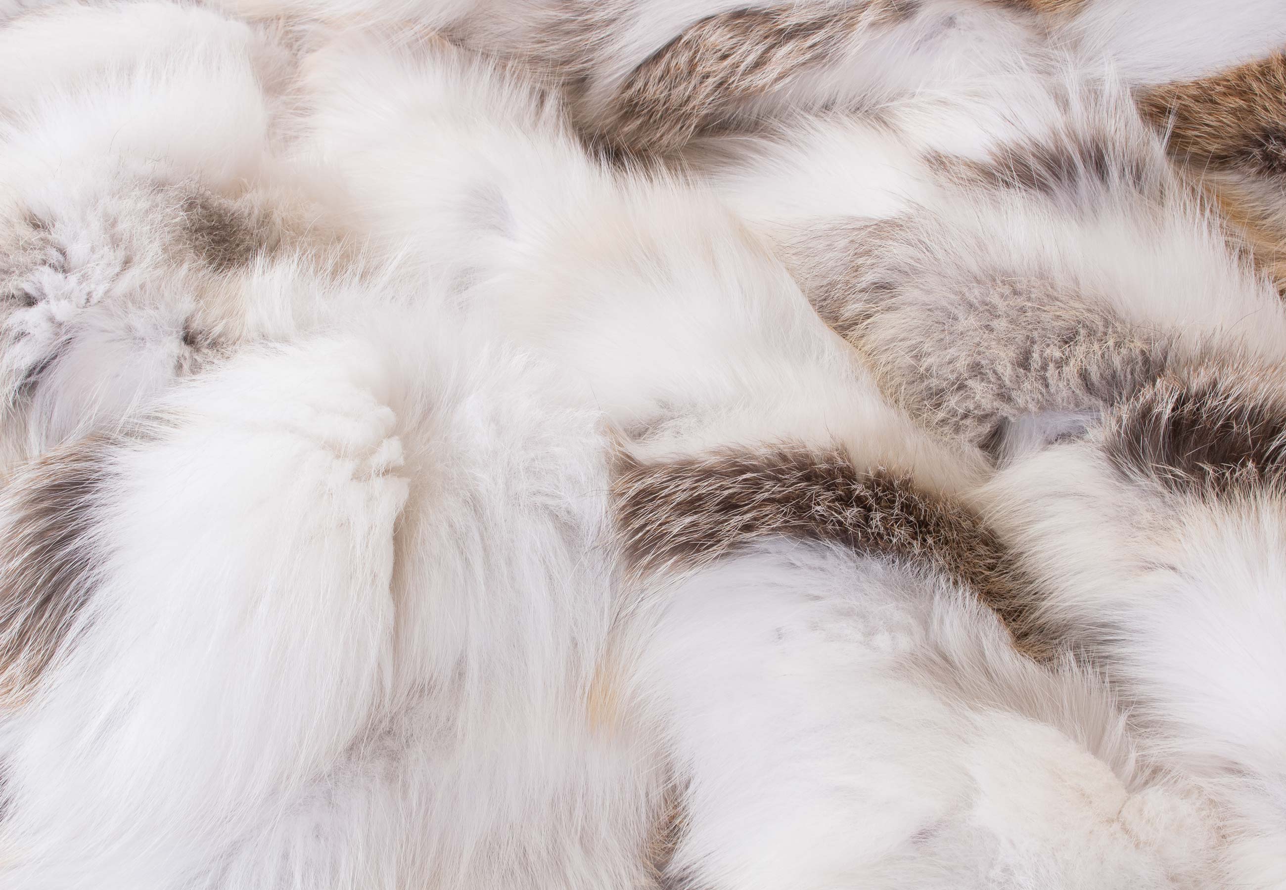 Fawnlight Fox Sides Fur Blanket