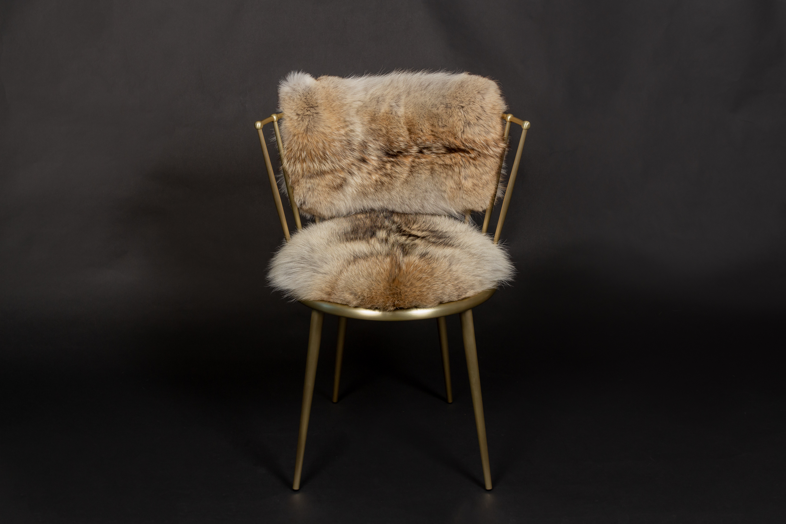 2-7100-Kanadische-Kojoten-Fellstuhl-Lars-Paustian Canadian Coyote Fur Chair