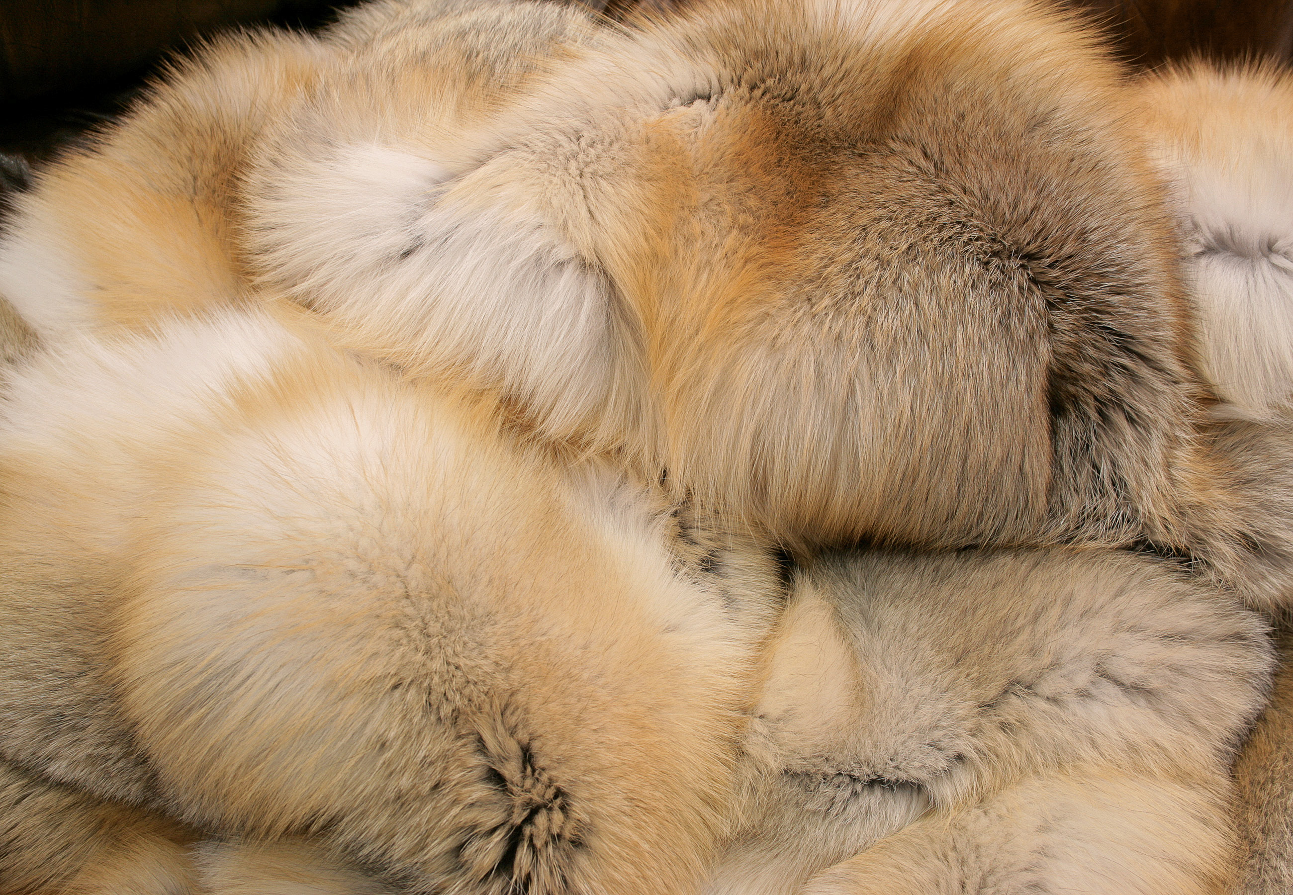 Golden island fox fur blanket - SAGA quality