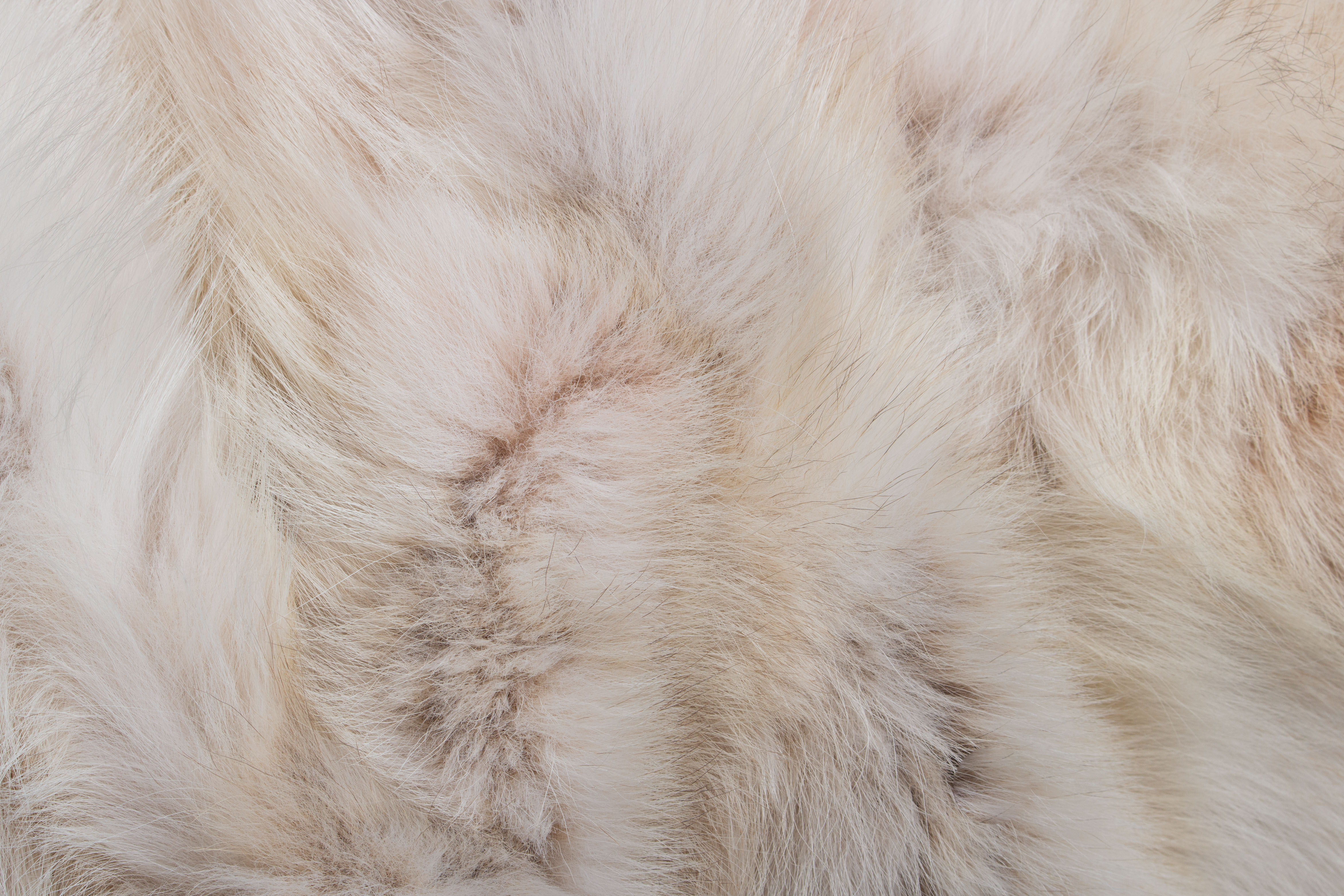 Fur Throw Made of Canadian Coyote Sides