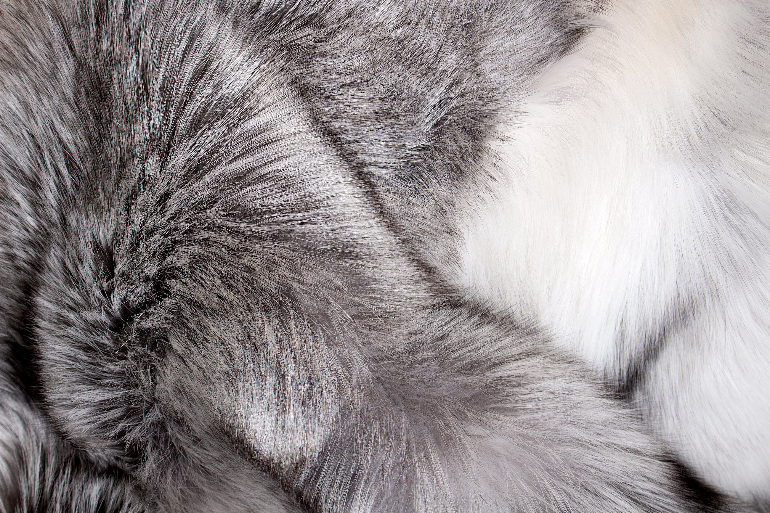 Special Platinum Frost Fox Fur Blanket - TOP LOT 2019