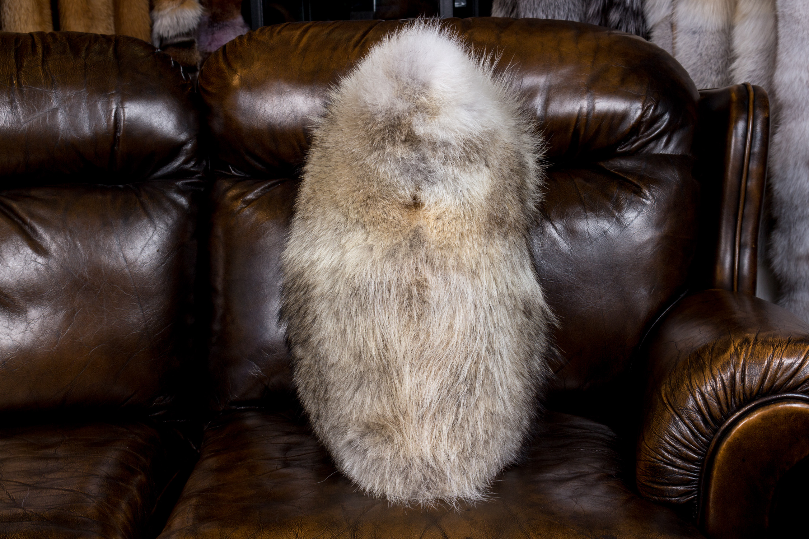 Candian Coyote Fur Cushion