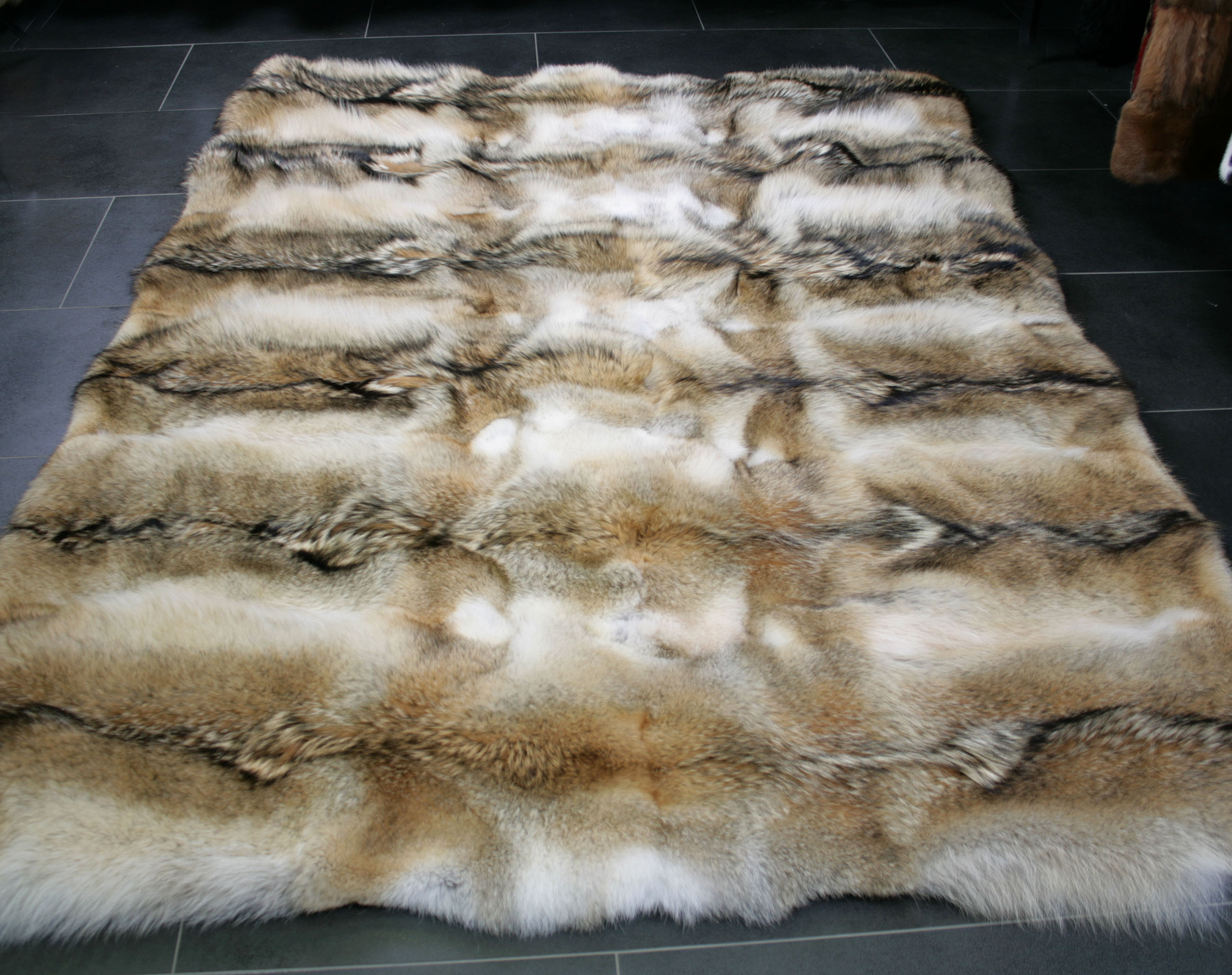 kojote-teppich-naturell-2 Rustic fur carpet from northamerican coyote skins