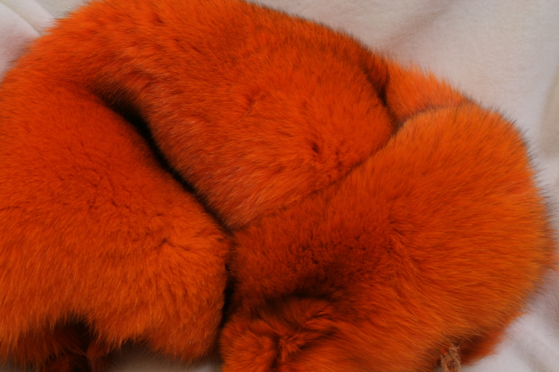 Blue-Fox-Orange