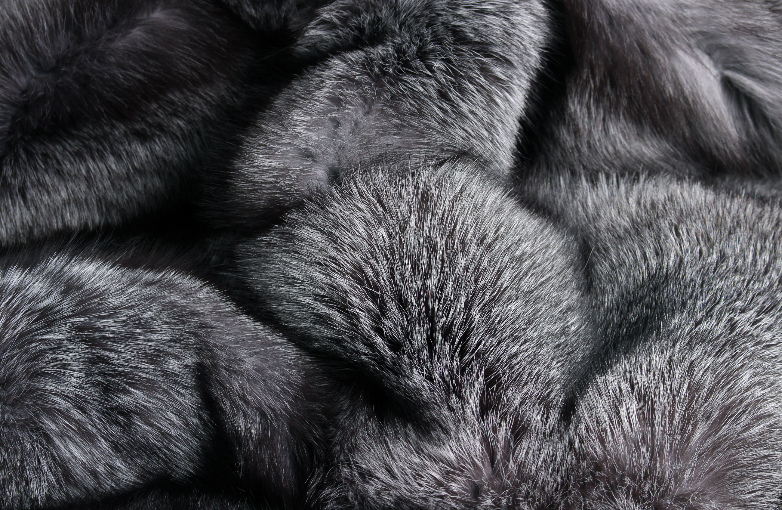 SAGA Blue Frost Fox Fur Carpet - natural color