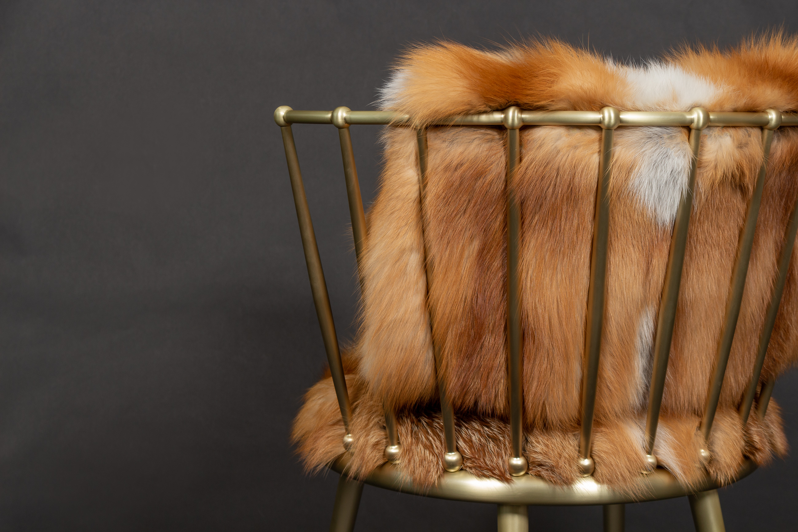 Red Fox Chair from European Foxes