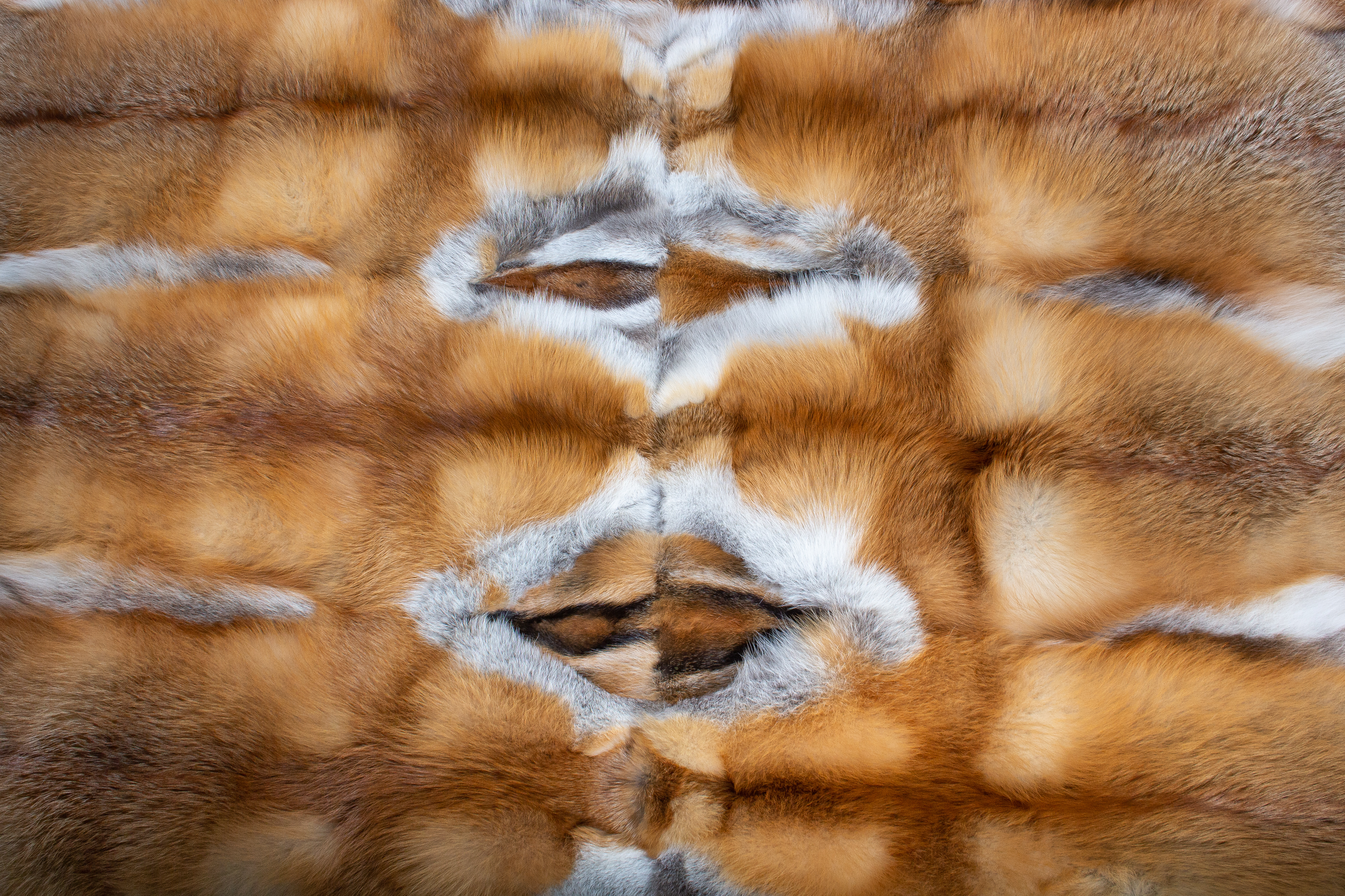 Red Fox Fur Carpet from Real Canadian Red Foxes