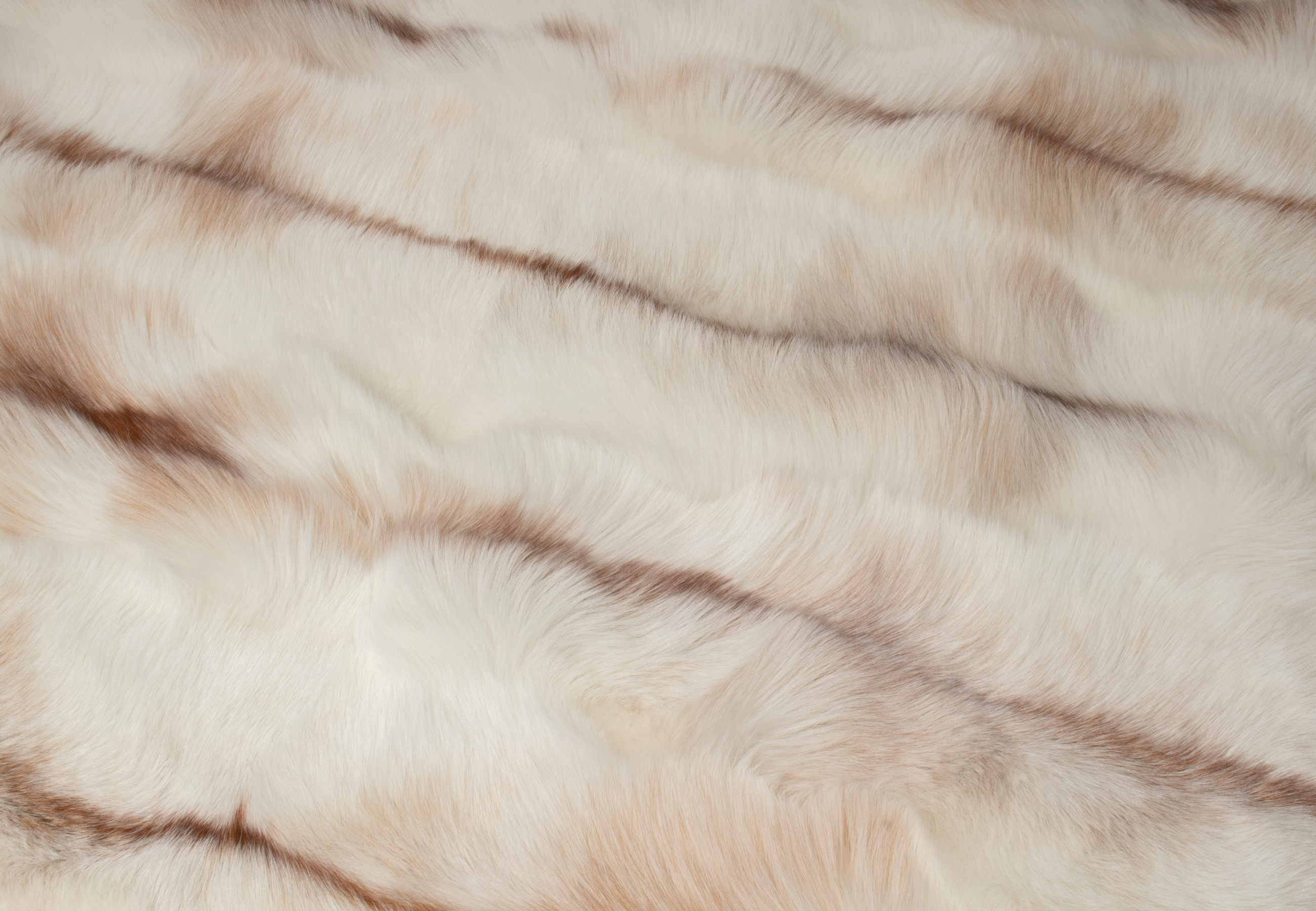 Sun Glo Fox Fur Rug Sun Glo Fox Fur Rug