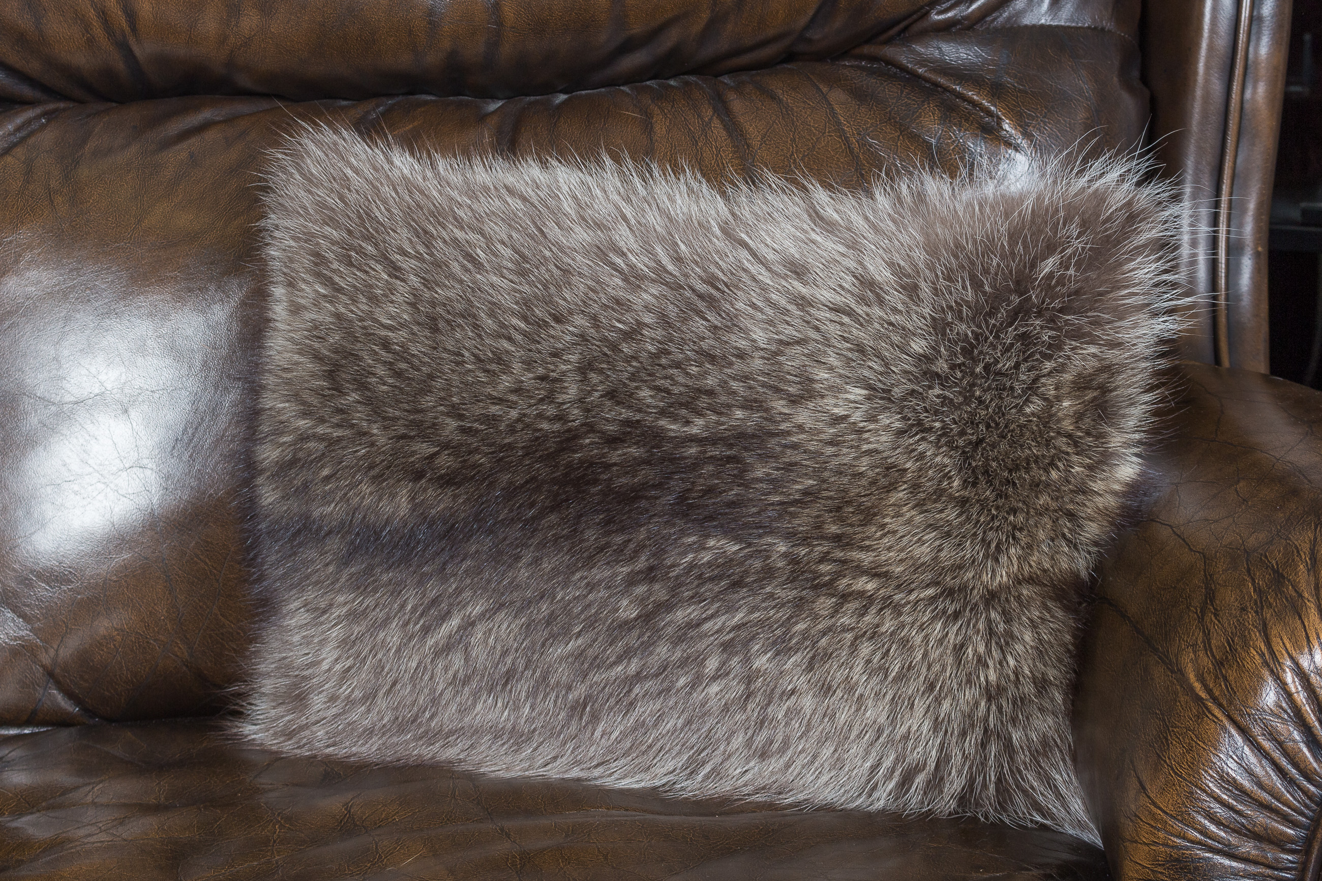 4-1376-Kleines-Waschbaer-Fellkissen-Lars-Paustian5a3122125fa40 Little Raccoon Fur Pillow