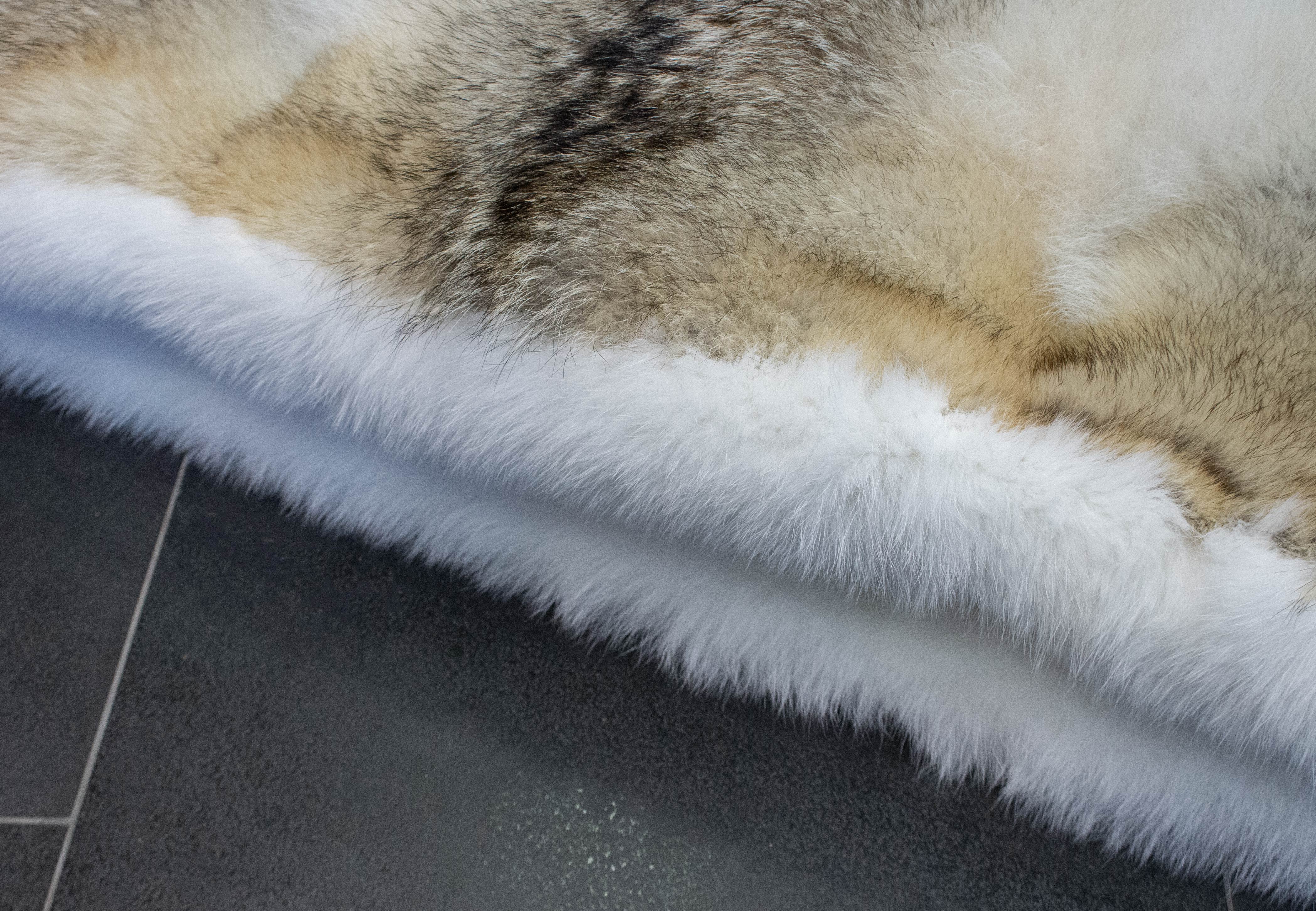 Coyote Fur Blanket with Shadow Fox Inlay