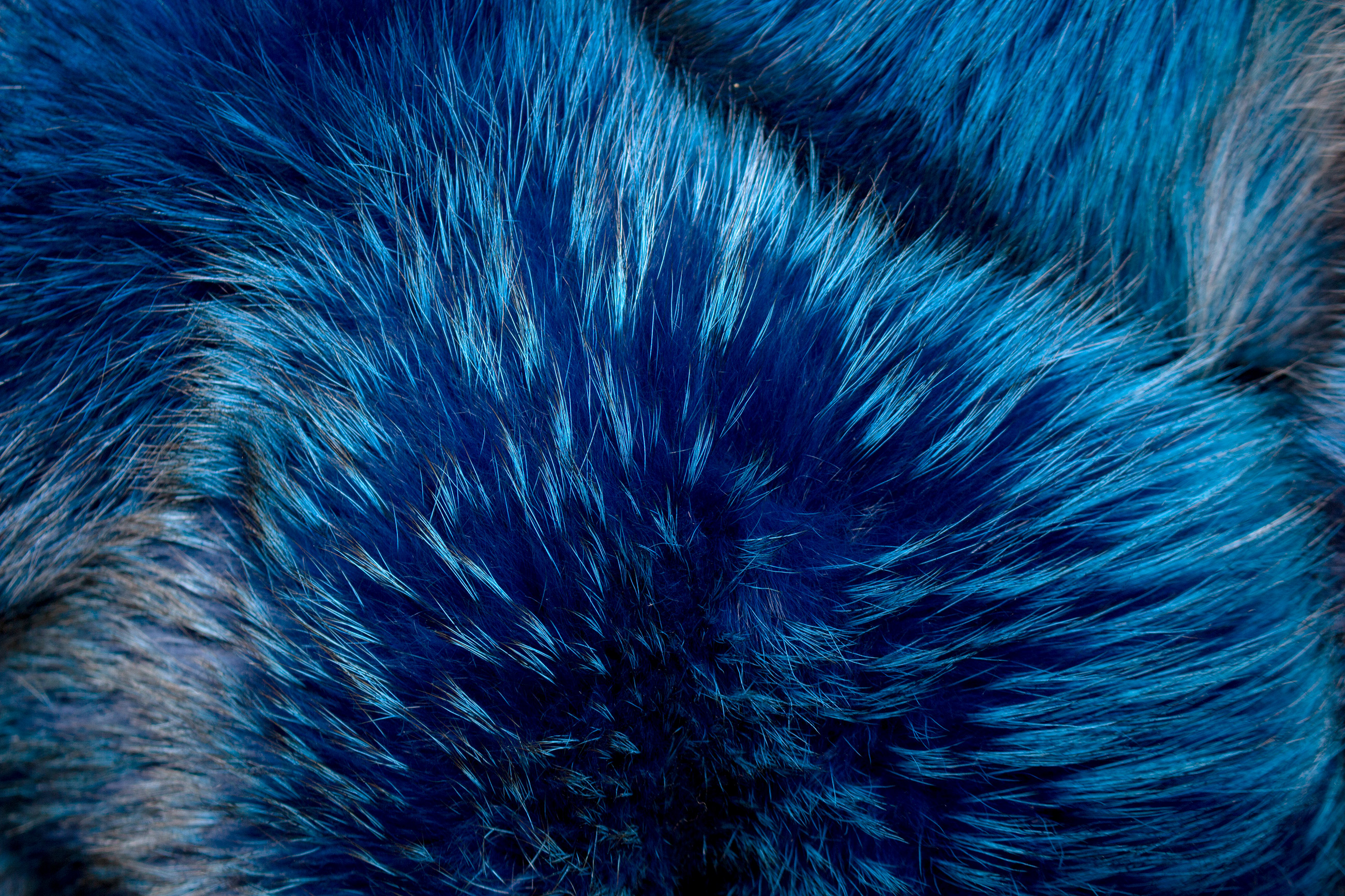 Fluffy Real Fur Red Fox Blanket in Ocean Blue