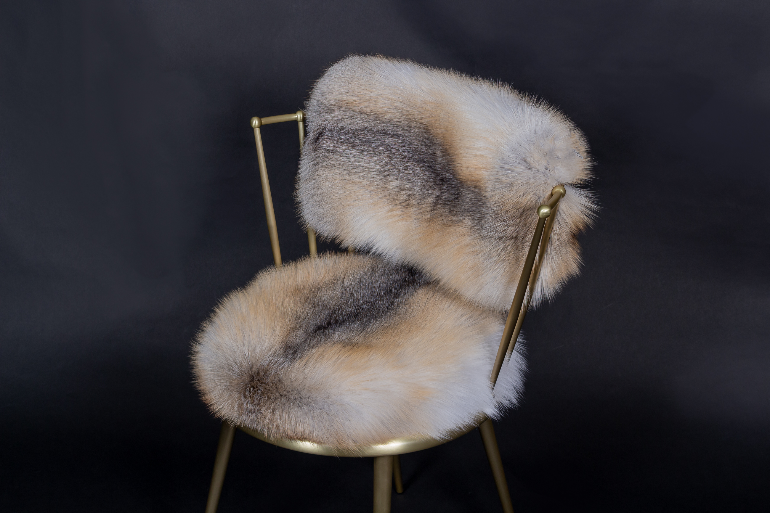 Cantori Chairs with Golden Island Fox Skin