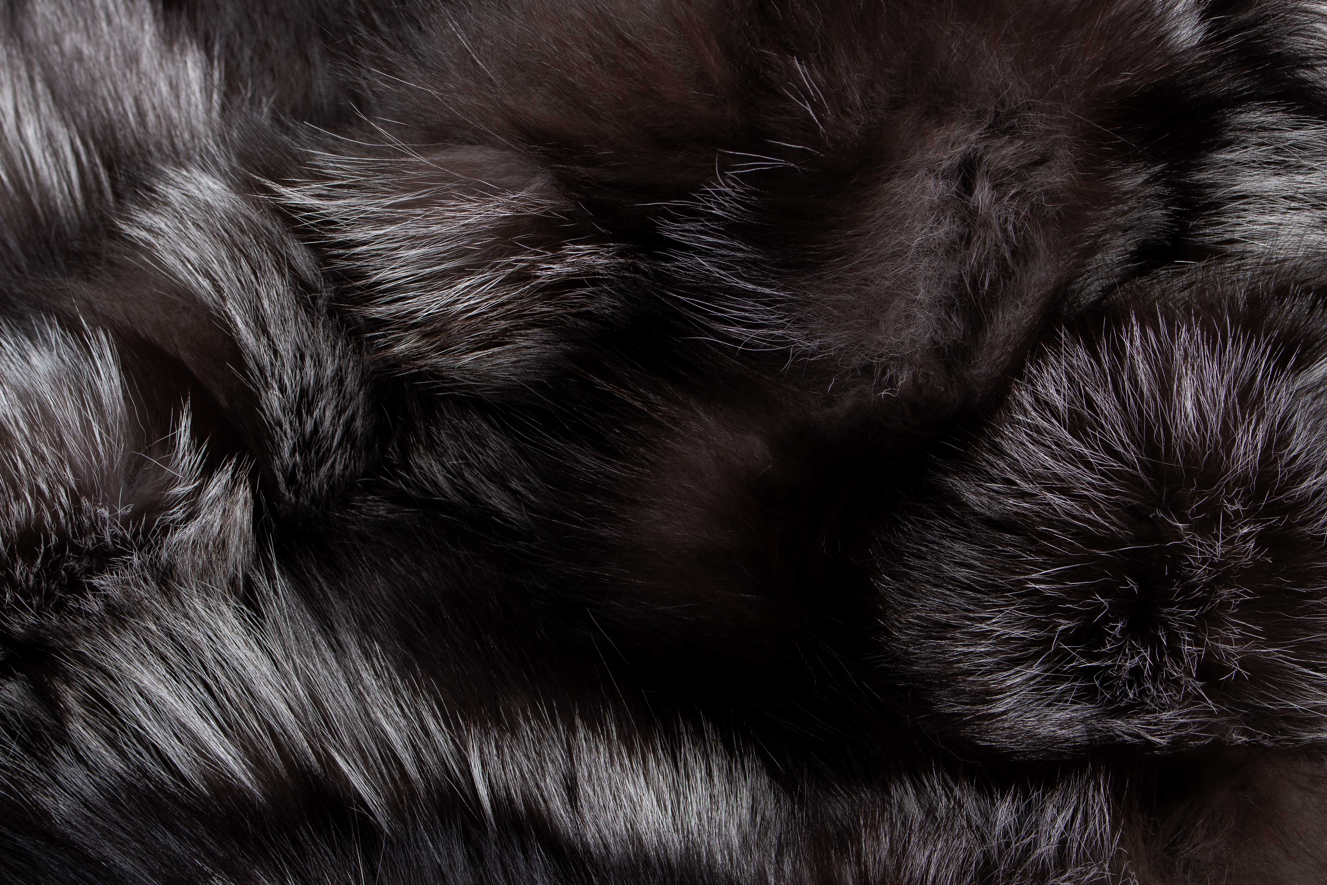 6-1487-Skandinavischer-Silberfuchs-St-cken-Pelzteppich-Paustian Scandinavian Silverfox Sides Fur Rug