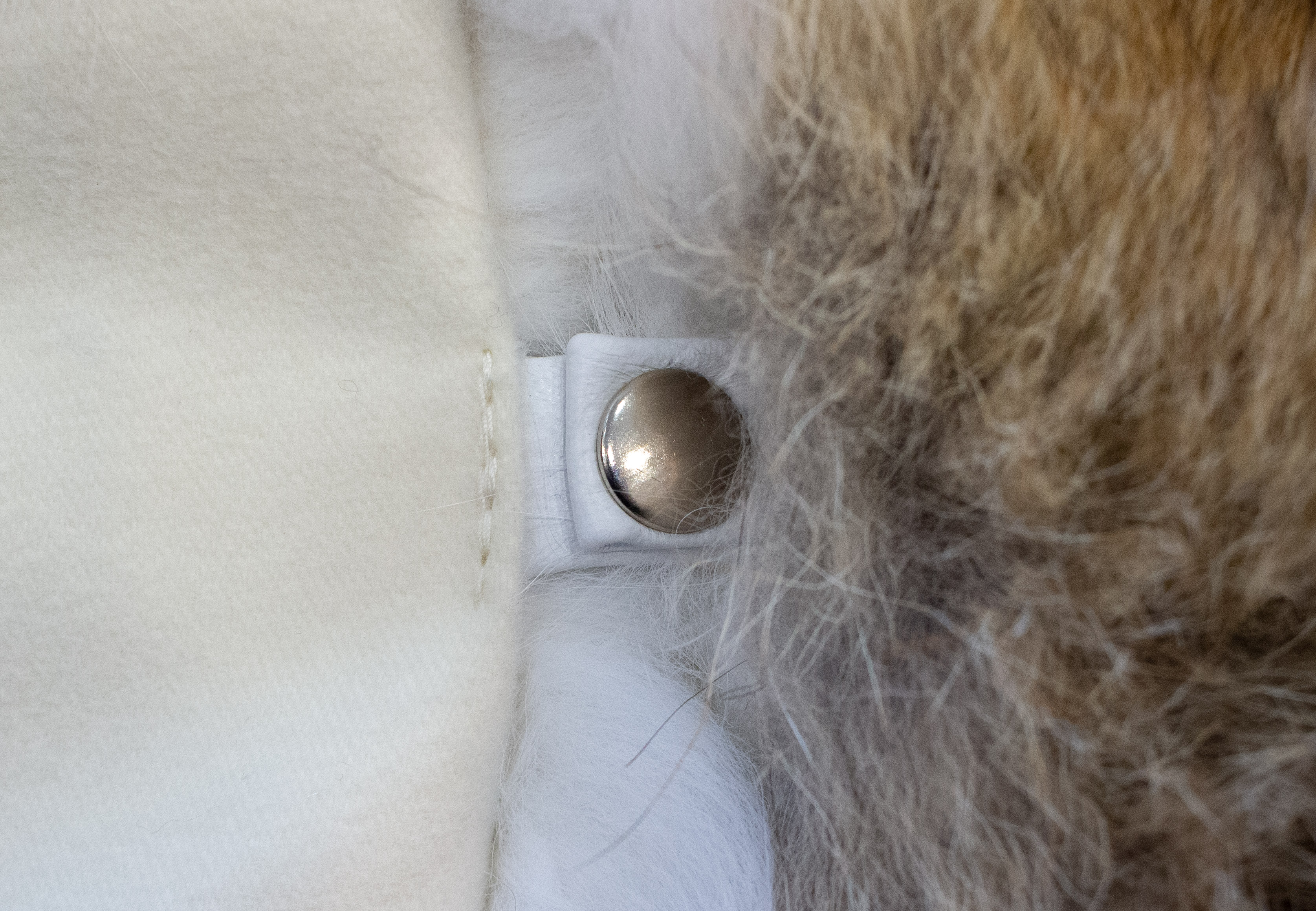 Coyote and Shadow Fox Fur Inlay - Sleeping Bag