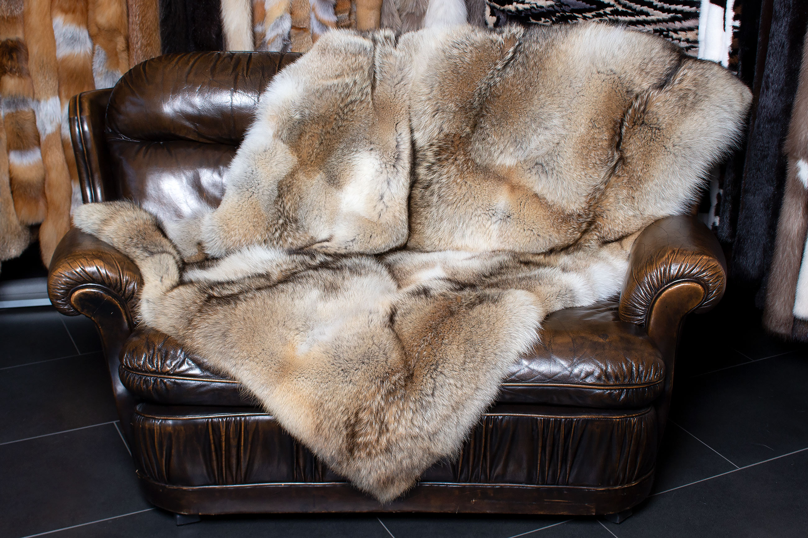 2-1515-kleine-Kojoten-Pelz-Decke-Wildware-Lars-Paustian Genuine Coyote Fur Throw made with Wild Fur