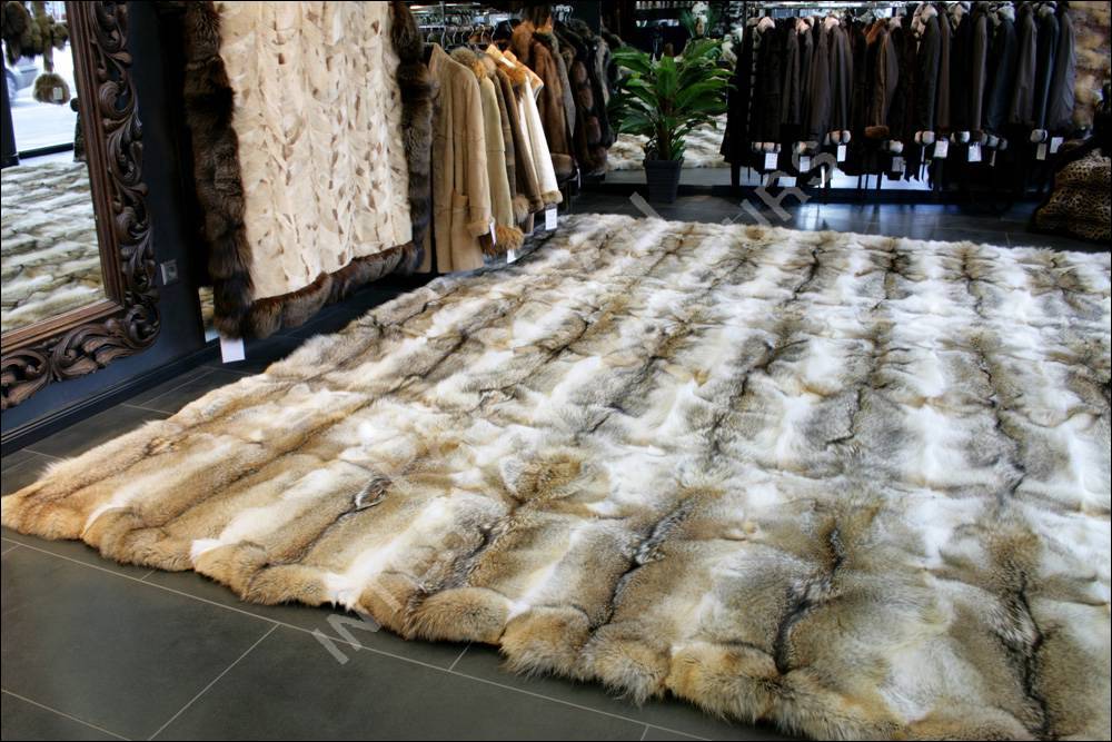 Genuine coyote fur carpet in 4 x 4 m