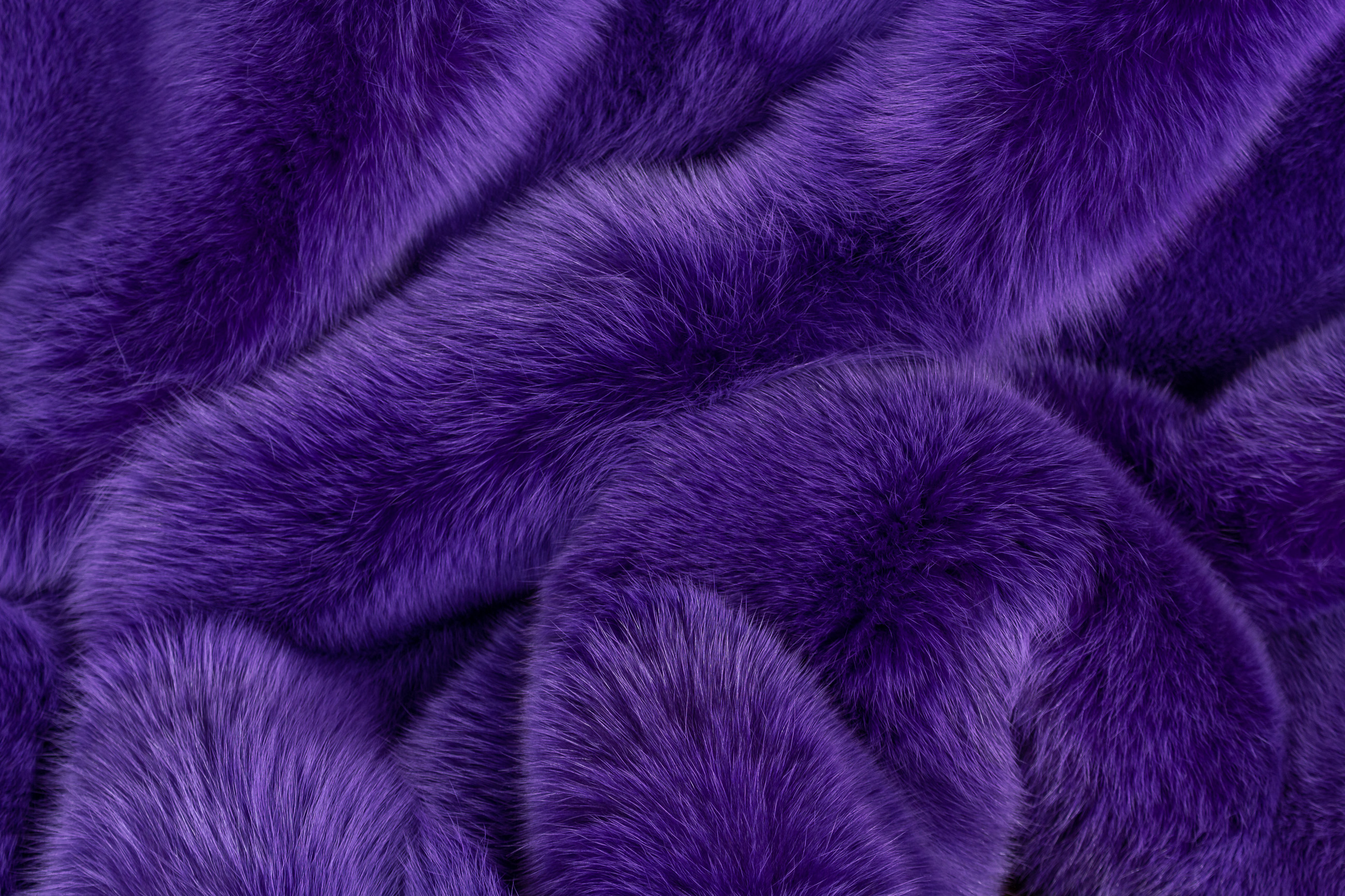 Real Fur Blue Fox Blanket in Purple