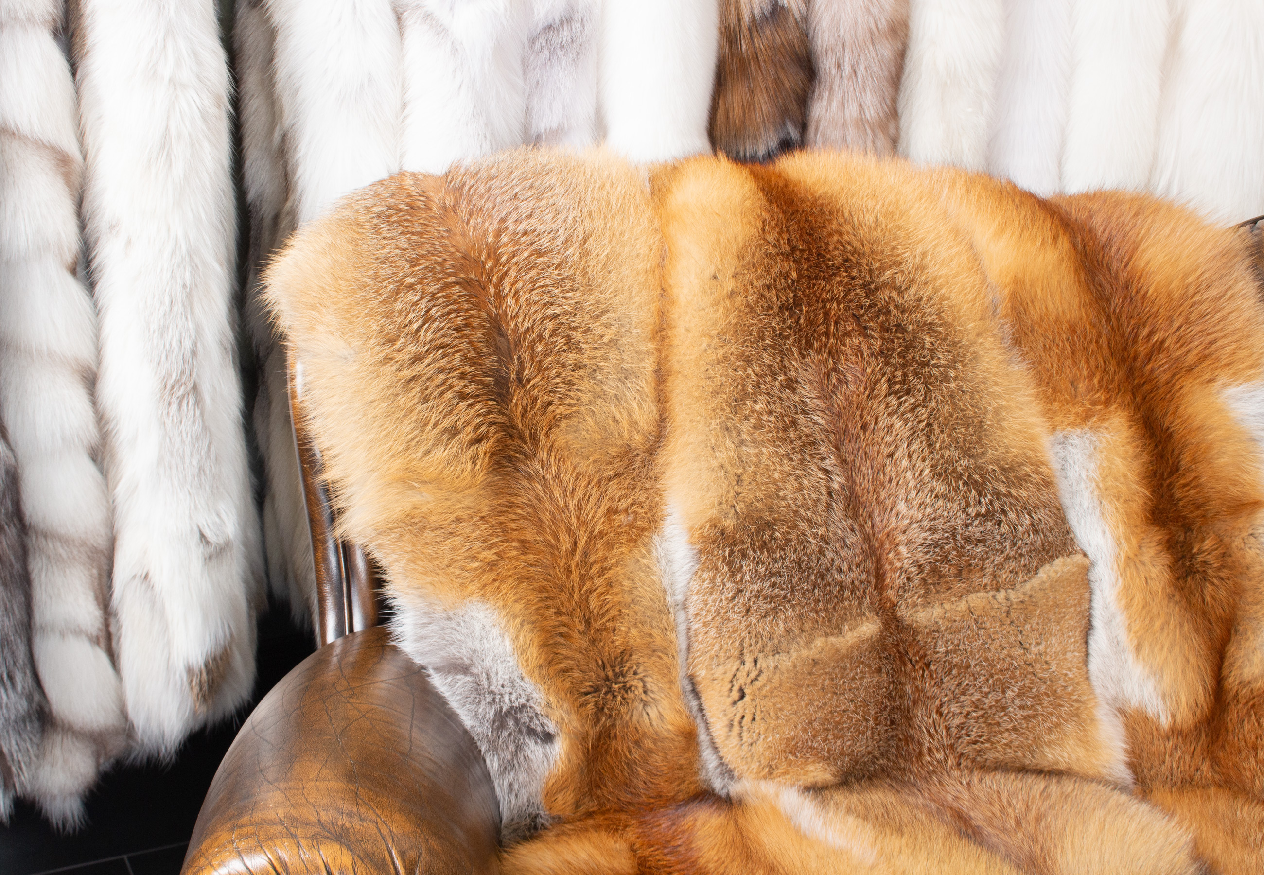 European Red Fox Fur Plaid