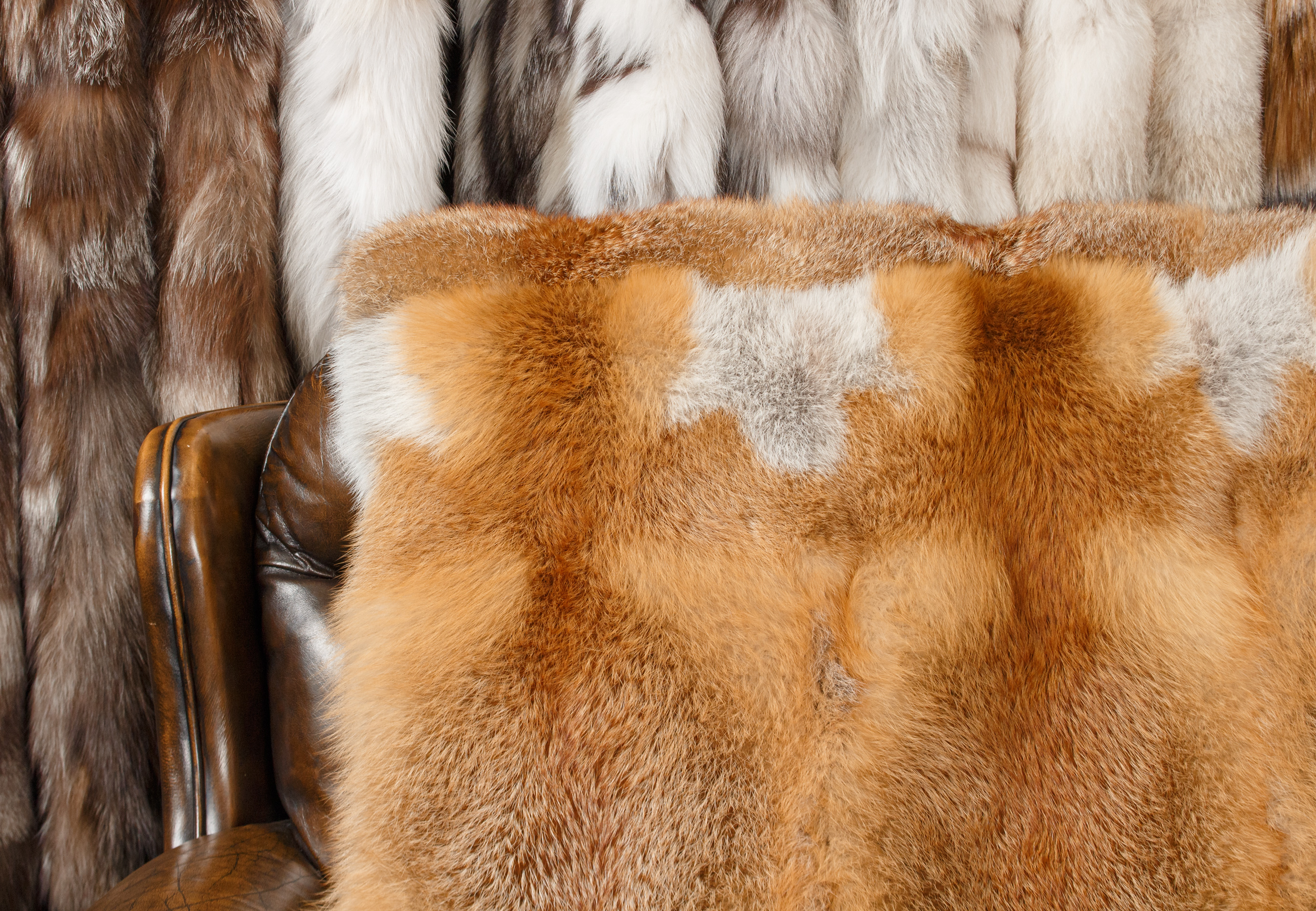 Premium Fur Plaid made from European Red Foxes Premium Fur Plaid made from European Red Foxes