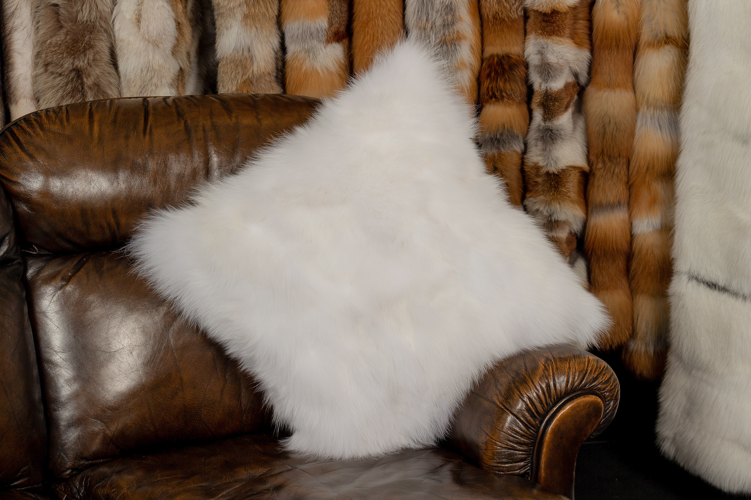 White Shadow Fox Pieces Cushion