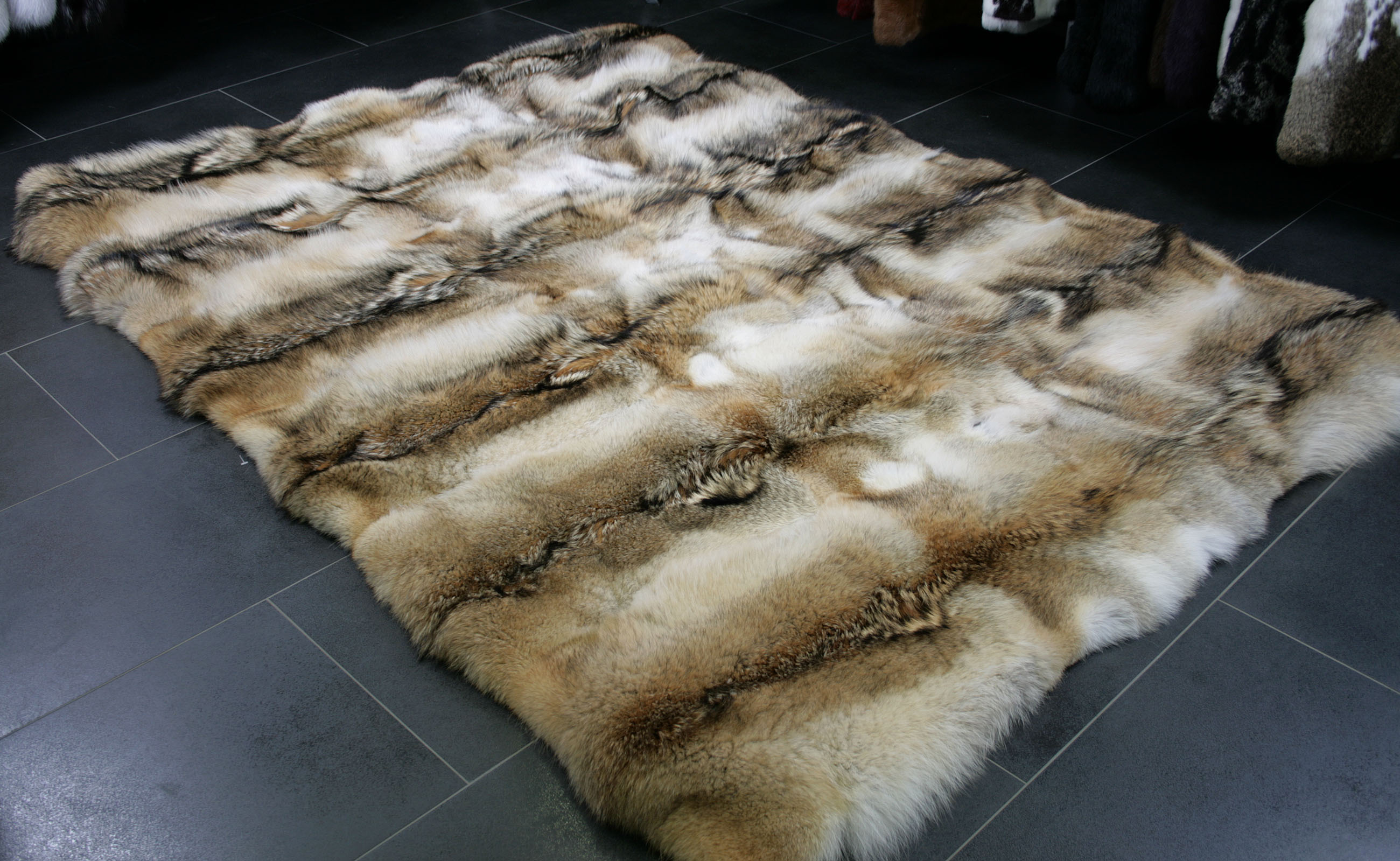 kojote-teppich-naturell-1 Rustic fur carpet from northamerican coyote skins