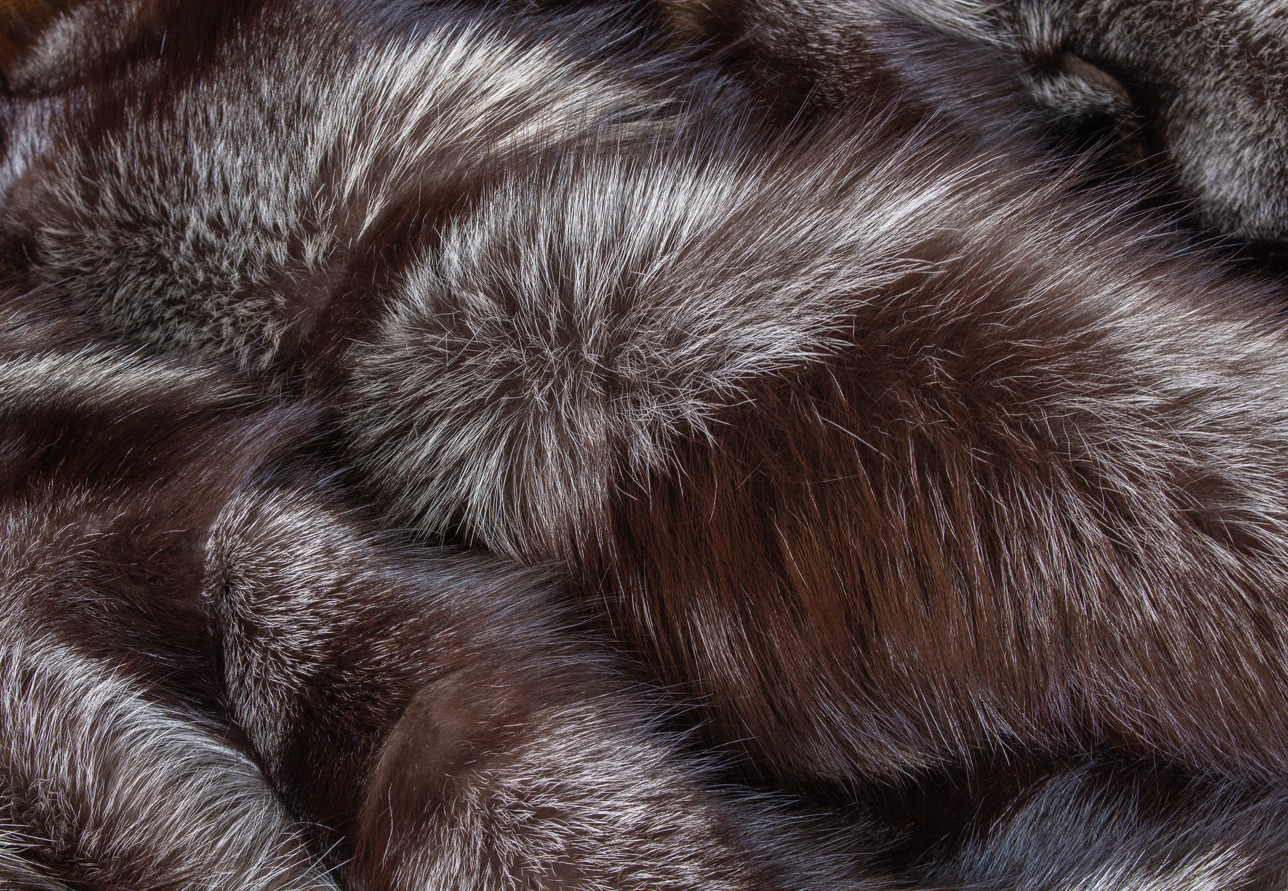 Cozy Cross Fox Patch Fur Blanket