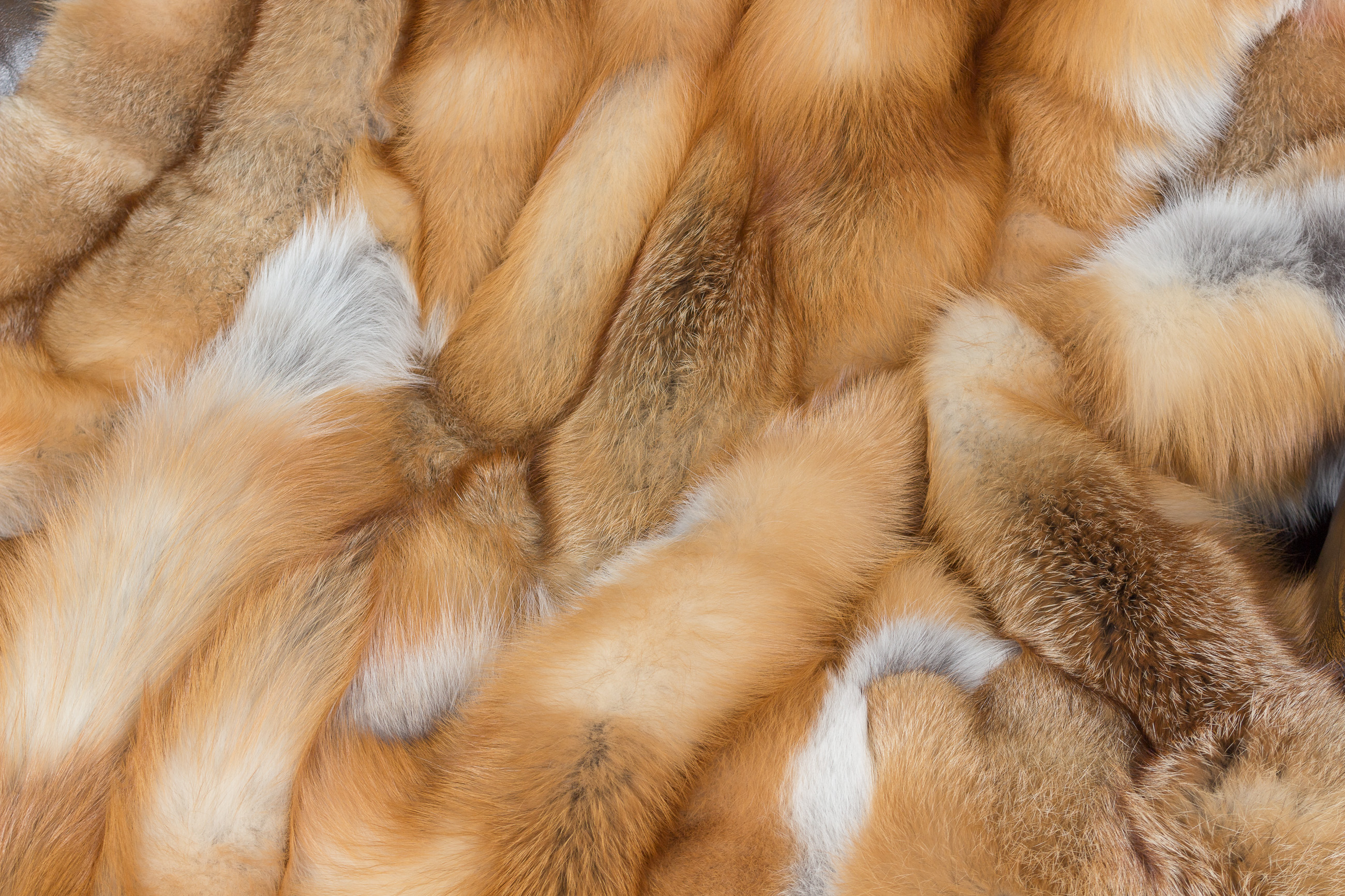 Canadian red fox fur blanket - classic style