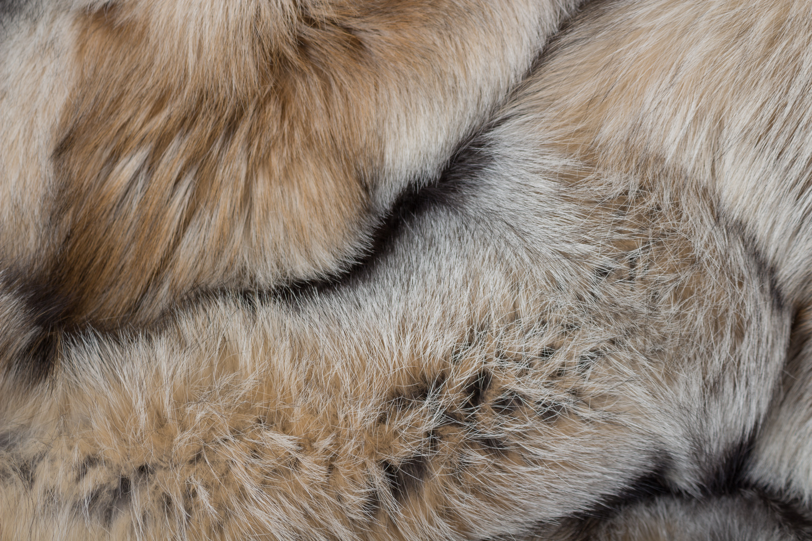 Smokey Fuchs Pelzdecke dunkelbeige (SAGA Fur)