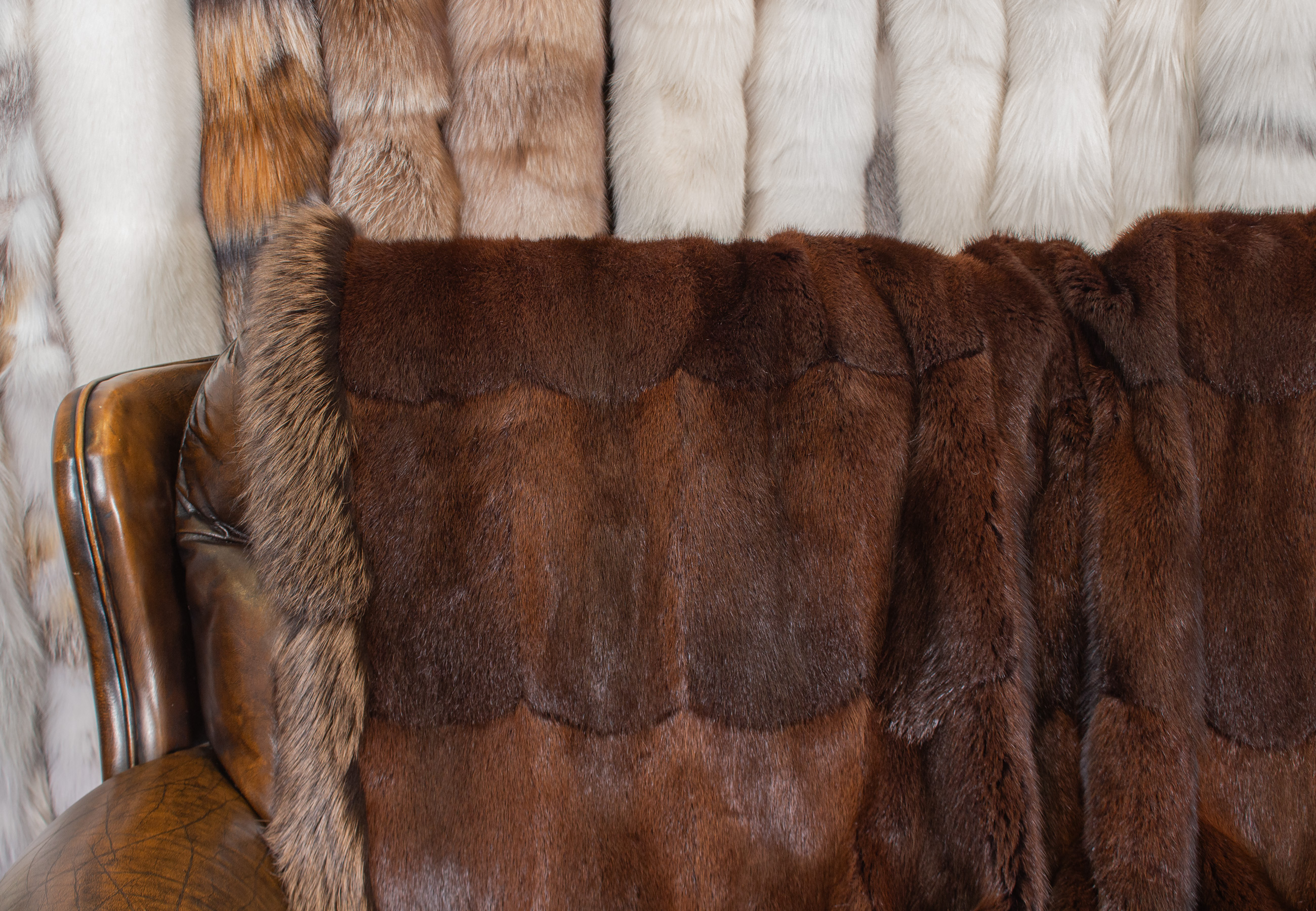 Noble Muskrat Fur Blanket with Fox Fur Border in Brown