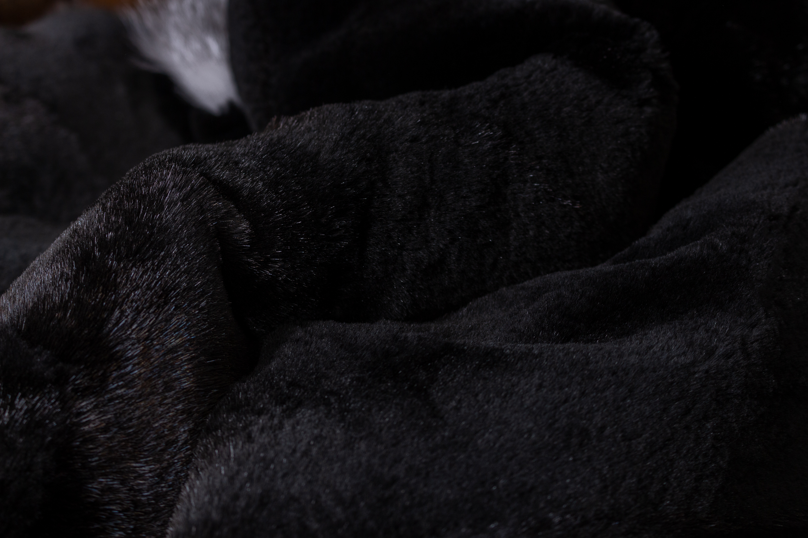 Blue Frost Fox Blanket with black, sheared Weasel Backing