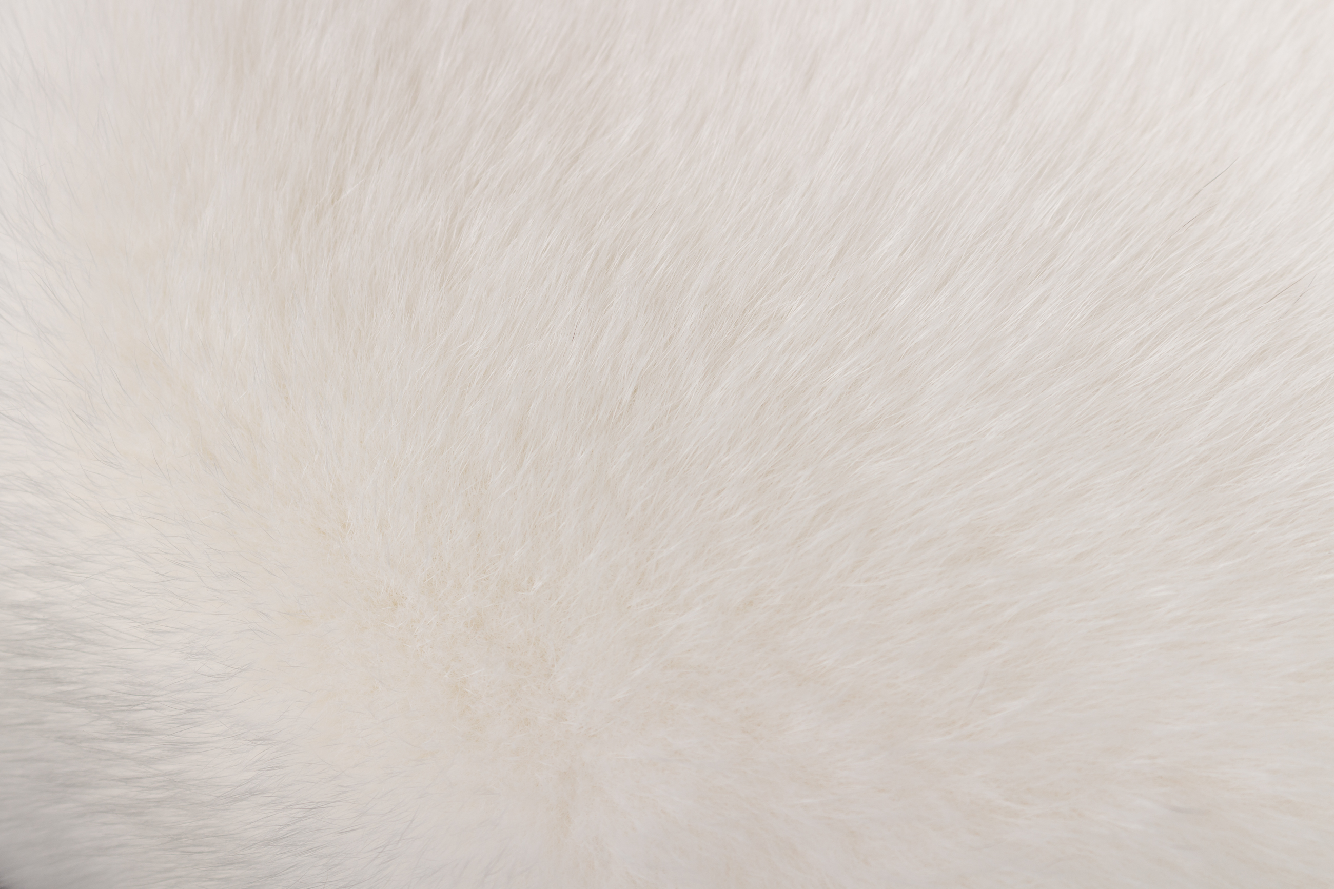 Elegant Shadow Fox Fur Chair