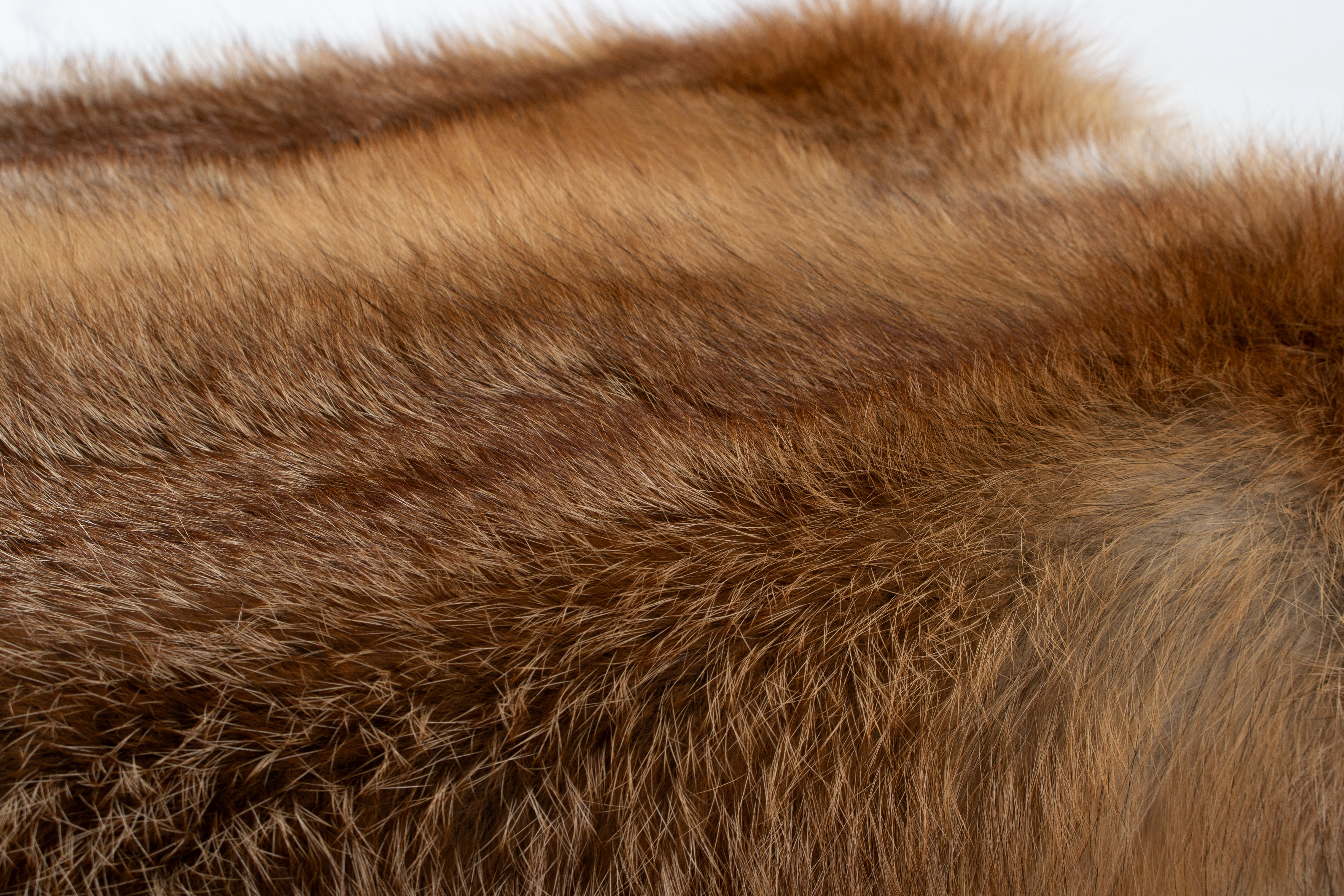 European Red Fox Fur Seat Cube