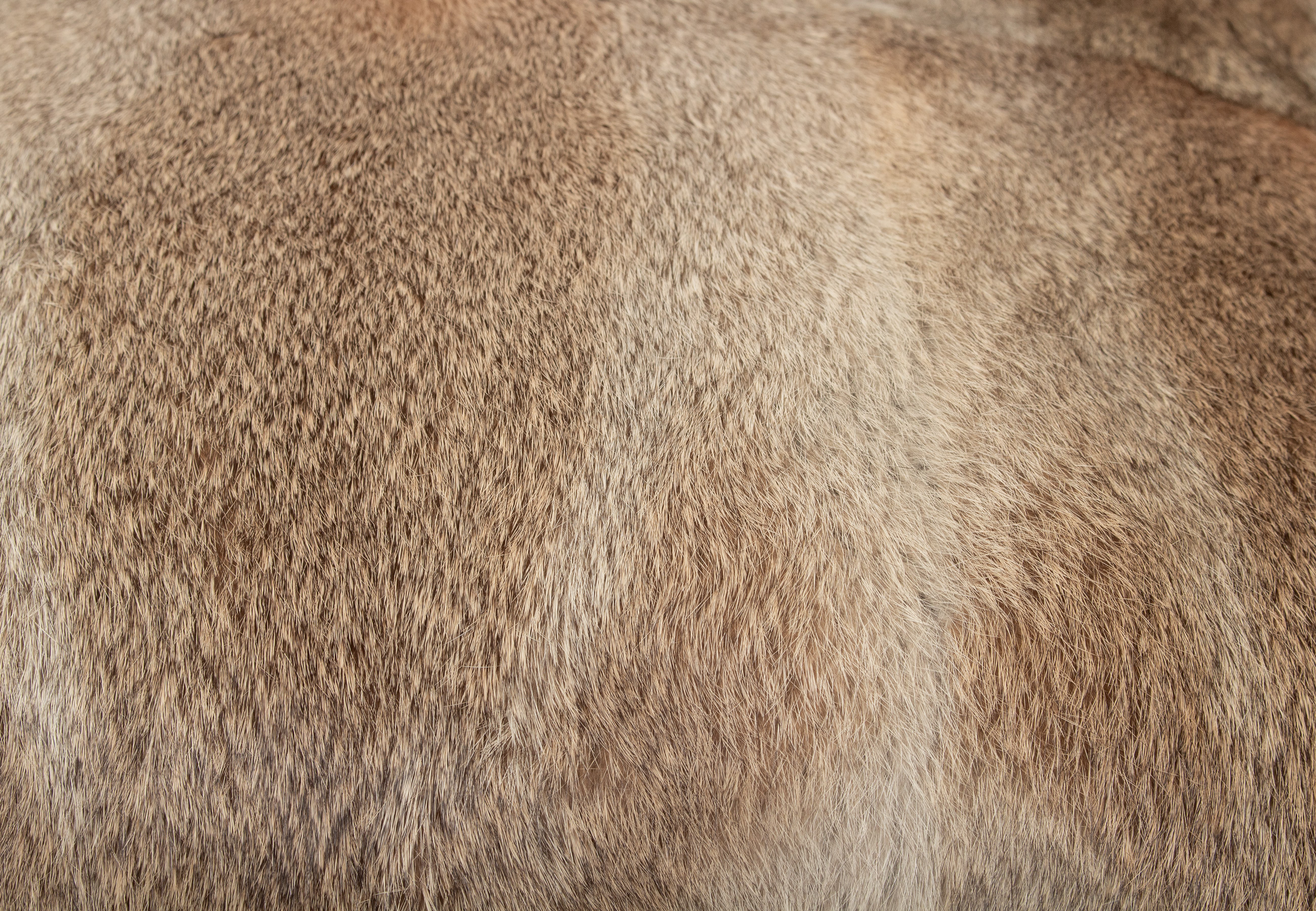 Real Rabbit Fur Pillow in natural color - Brown Type