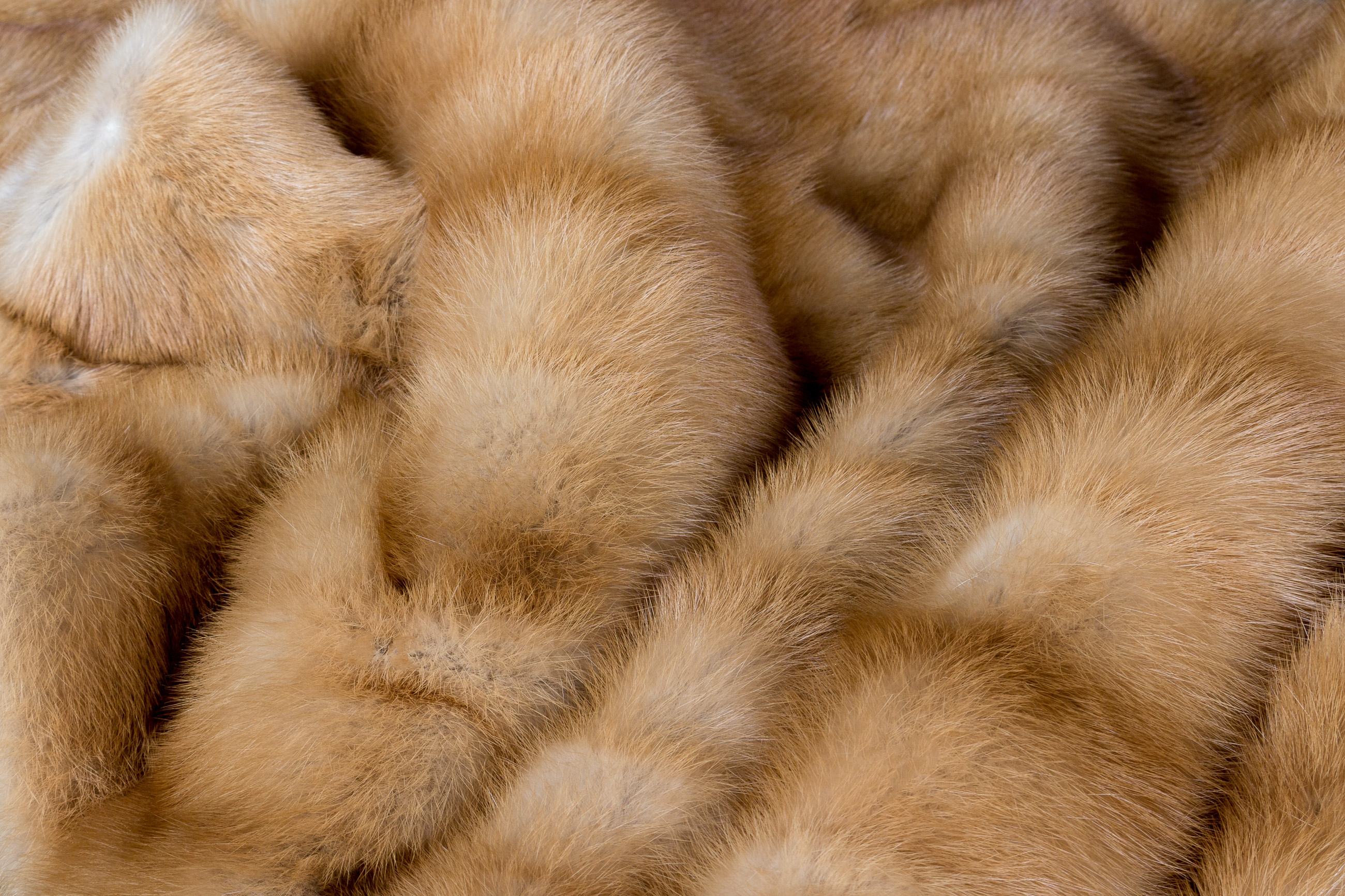 Small Kolinsky Fur Plaid with Fur on Both Sides