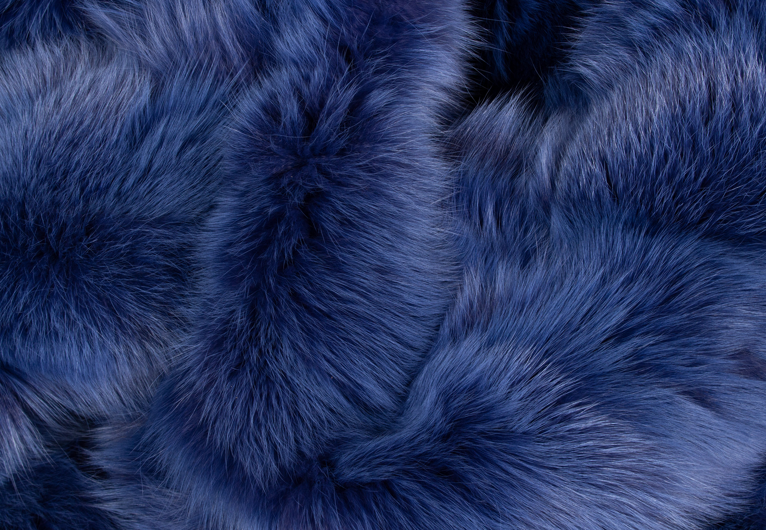 Royal Blue Shadow Fox Blanket